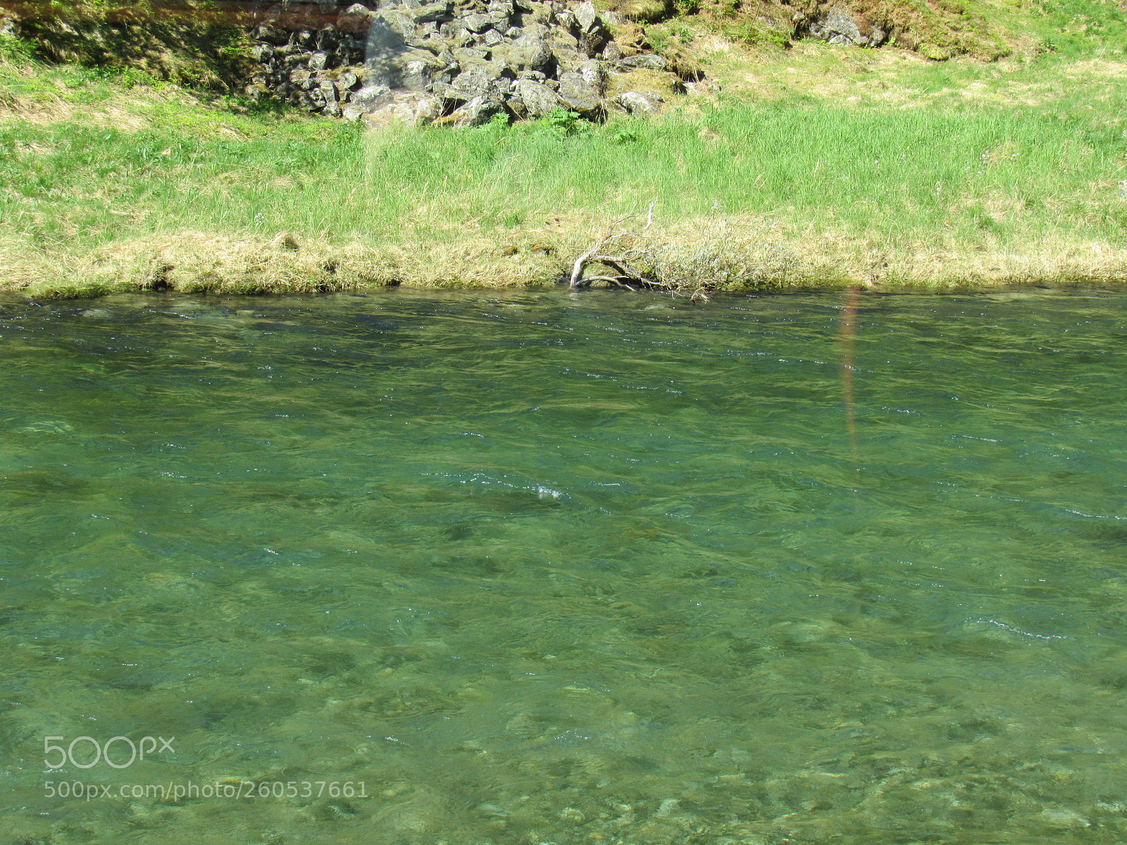 Canon PowerShot SX530 HS sample photo. River!!! photography