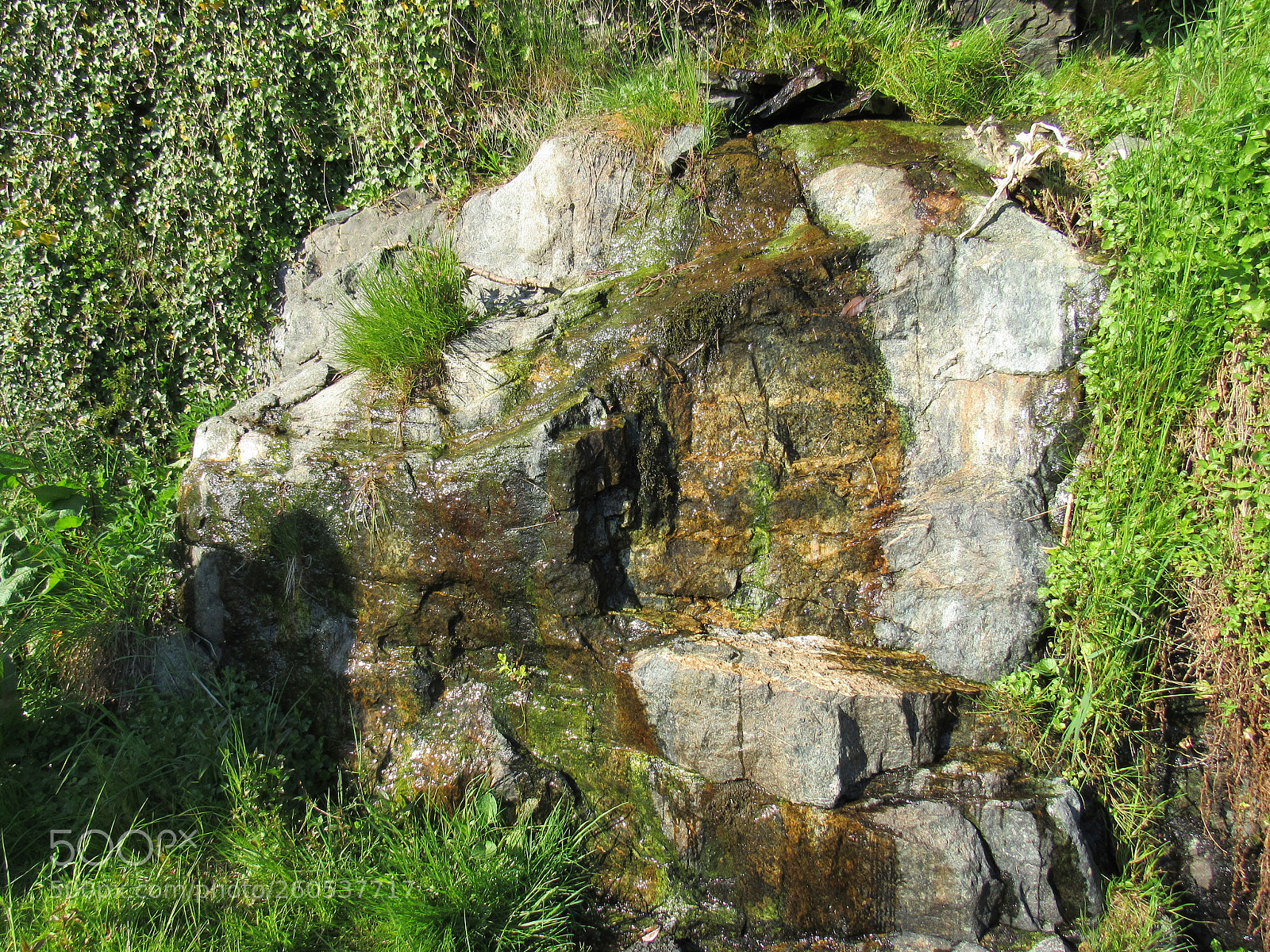 Canon PowerShot SX530 HS sample photo. Rock and moss photography