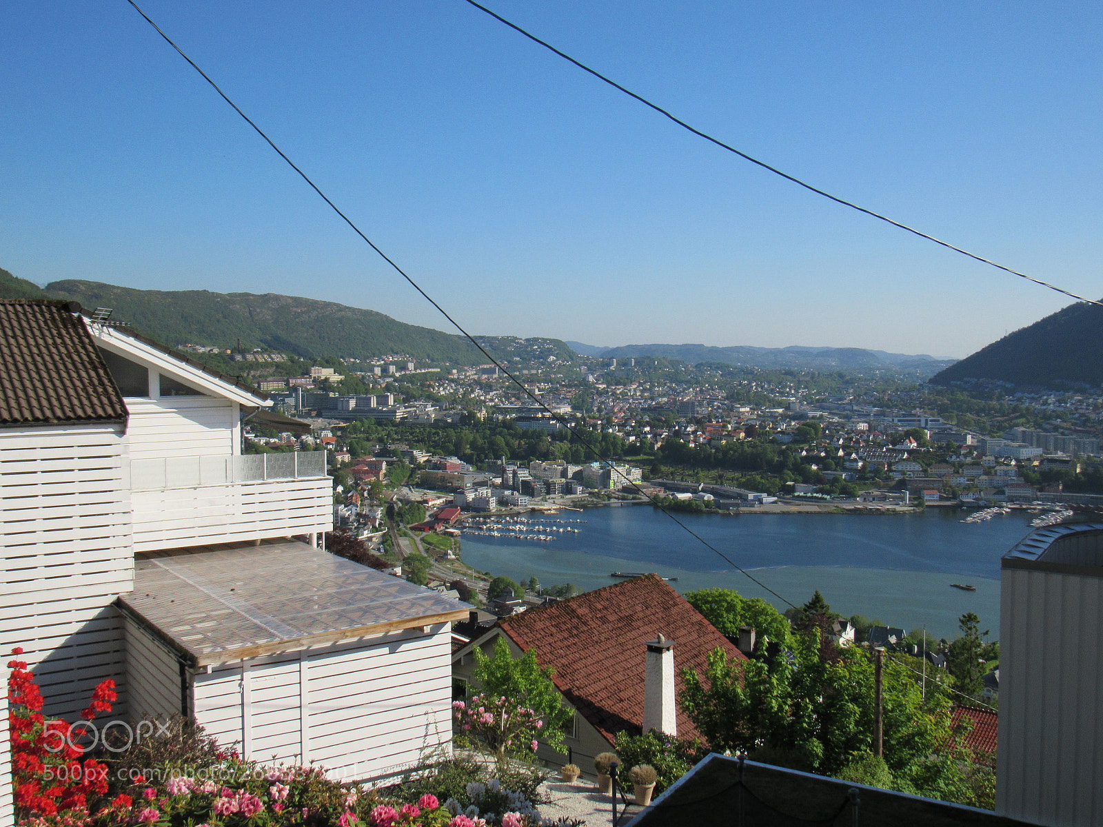 Canon PowerShot SX530 HS sample photo. View photography