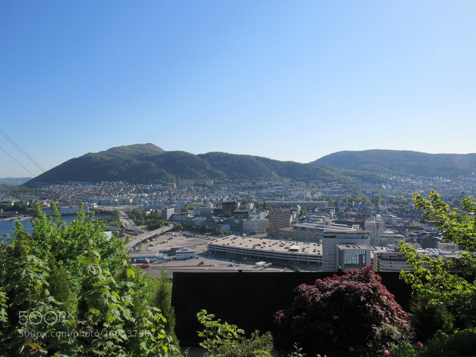 Canon PowerShot SX530 HS sample photo. View photography