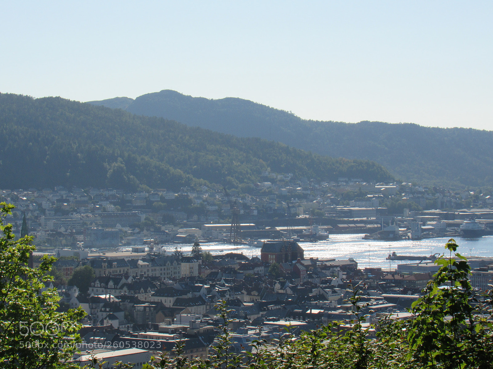 Canon PowerShot SX530 HS sample photo. View photography