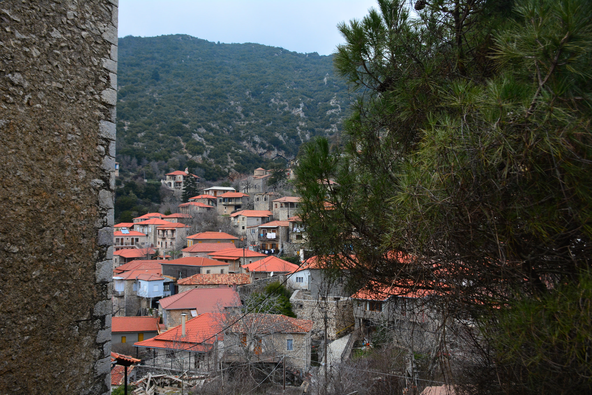 Nikon D7100 sample photo. D photography