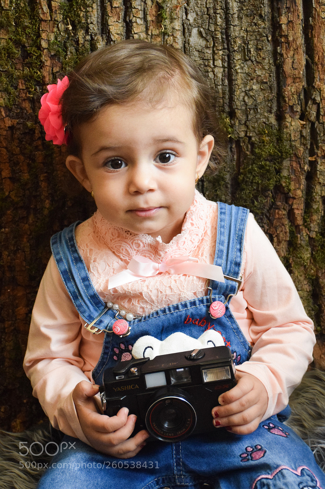 Nikon D5300 sample photo. Untitled photography