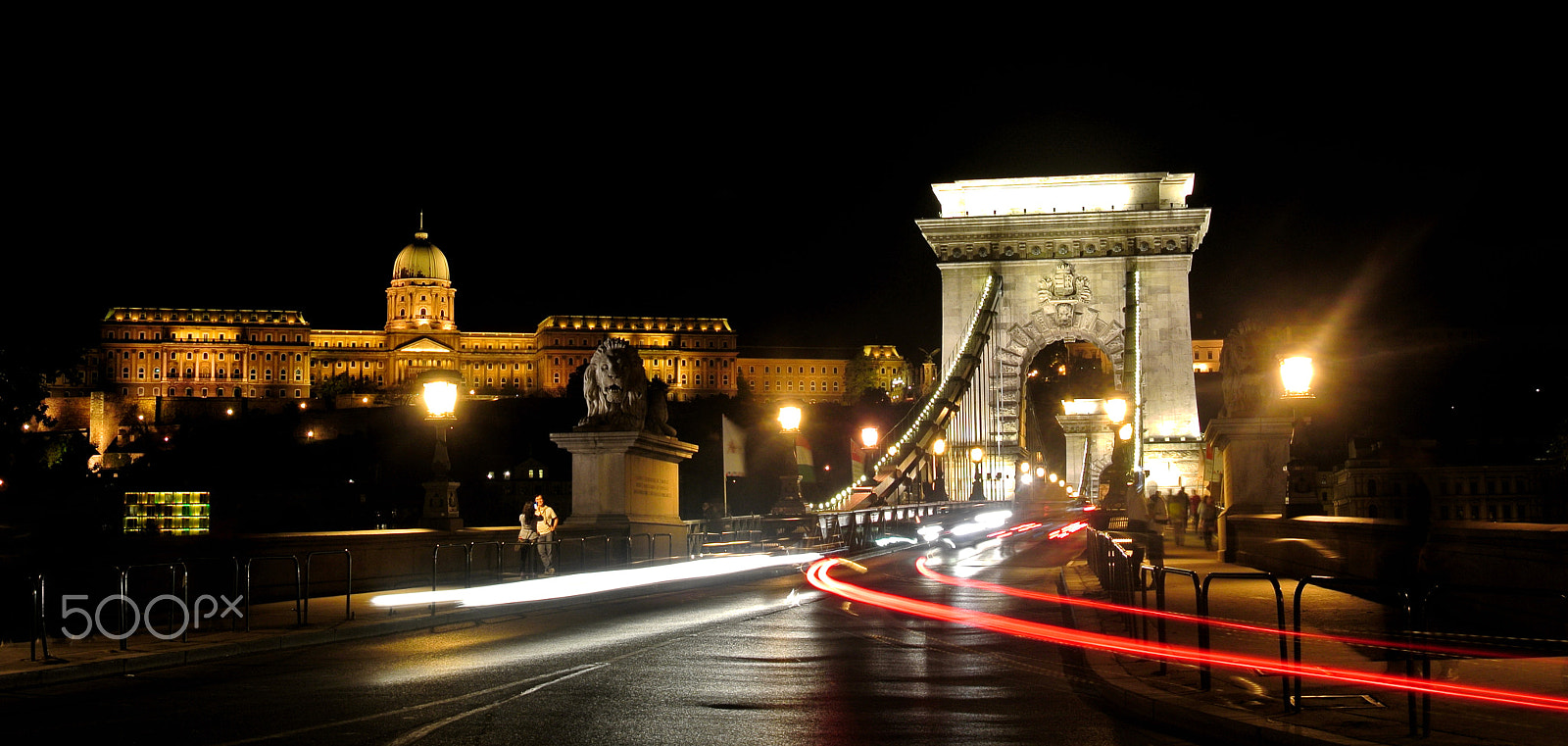 Nikon 1 J1 sample photo. Chain bridge & buda castle photography