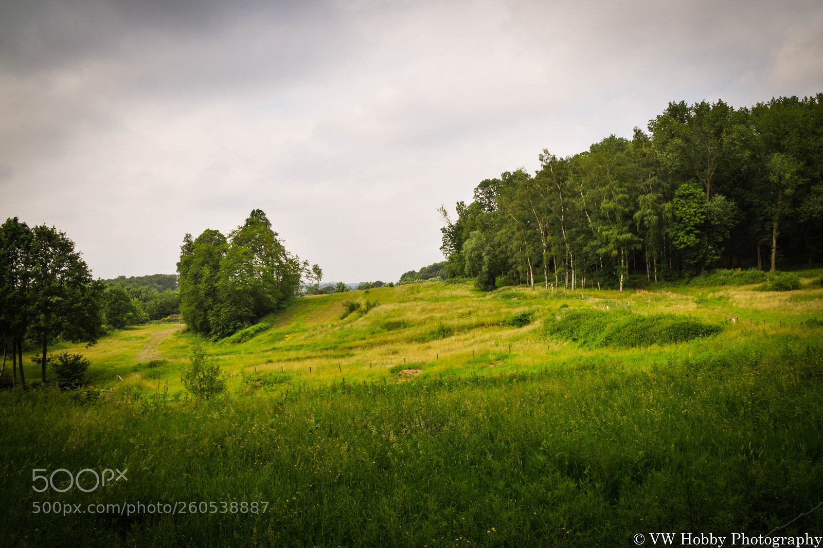 Nikon D3300 sample photo. Kesterheide photography