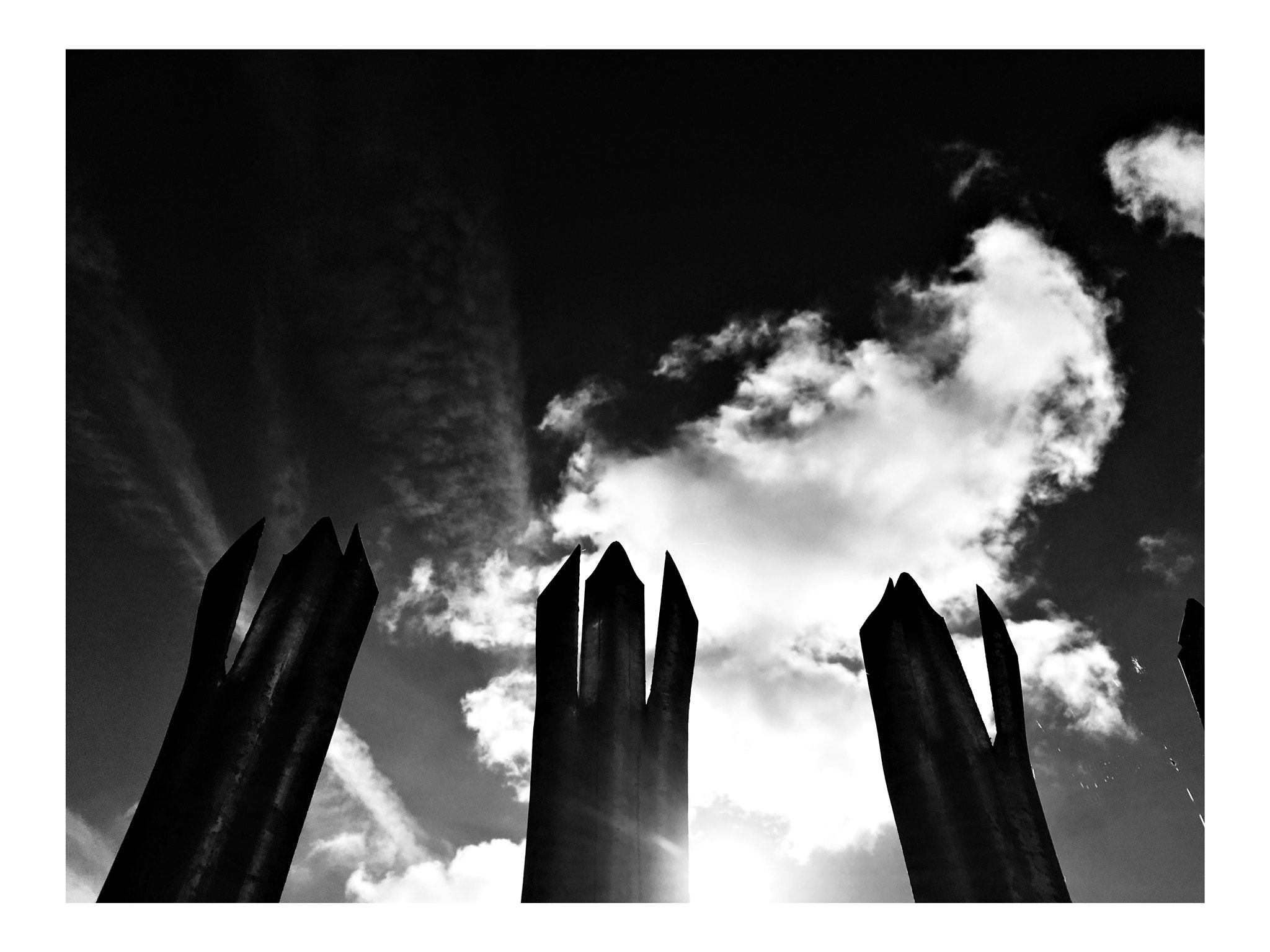 Blackie Camera sample photo