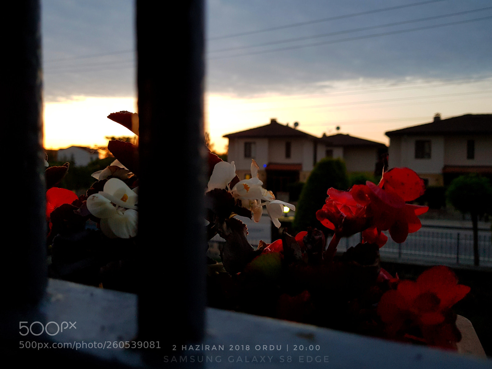 Samsung Galaxy S8 sample photo. Untitled photography