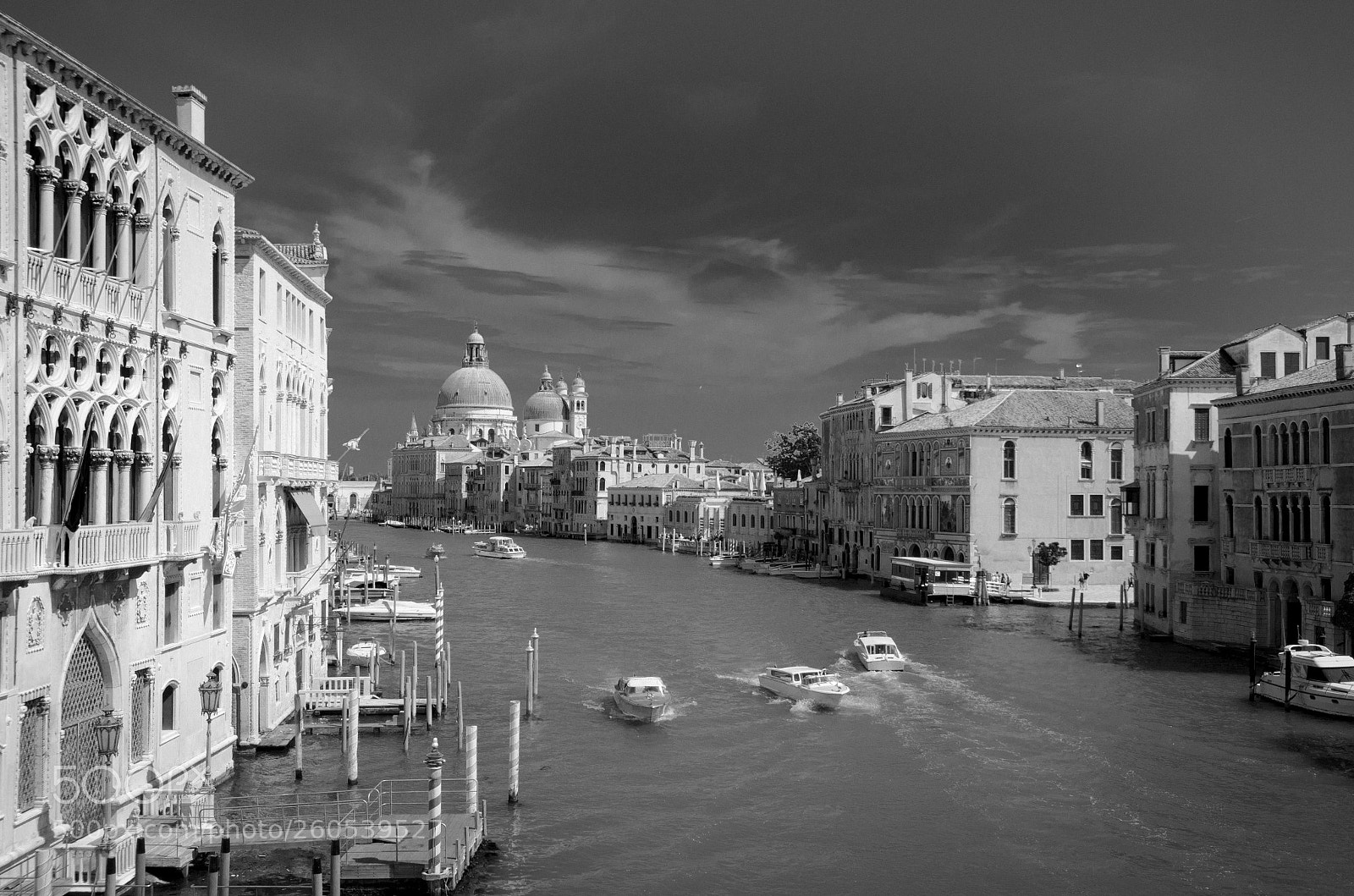Nikon D5100 sample photo. One of a kind photography