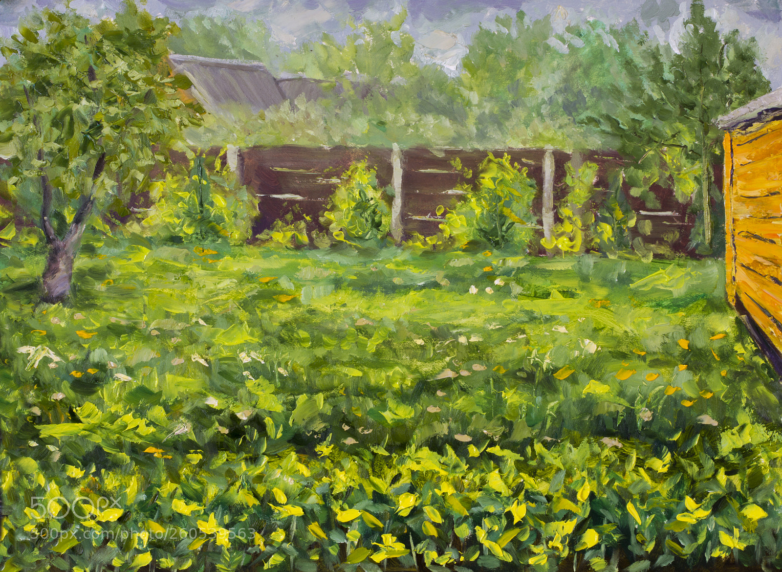 Canon EOS 60D sample photo. Summer sketch of the photography