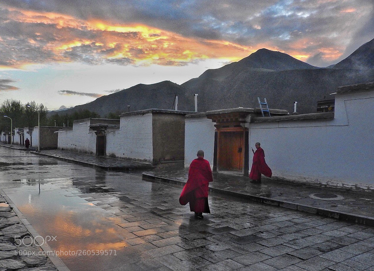 Nikon Coolpix P610 sample photo. Tibetan monks photography