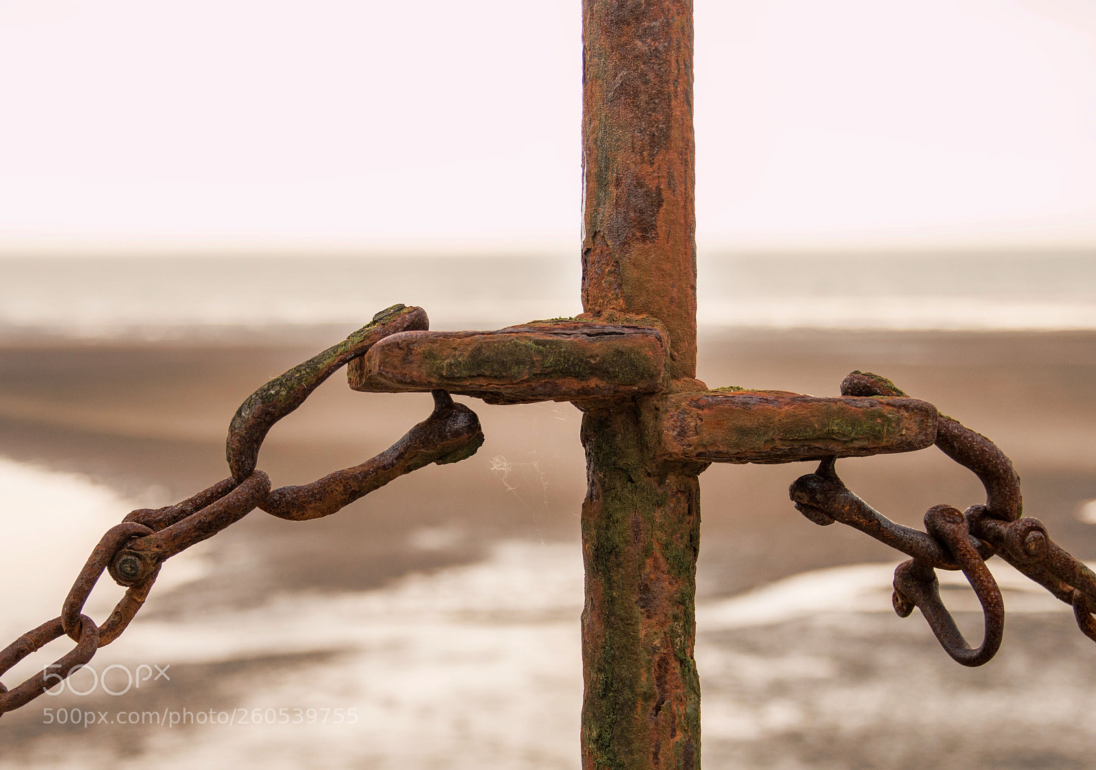 Canon EOS 70D sample photo. Together forever photography