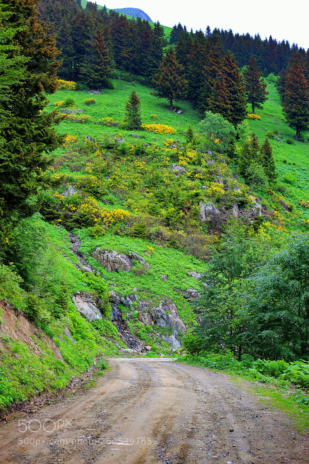 Canon EOS 6D sample photo. Amazing nature photography