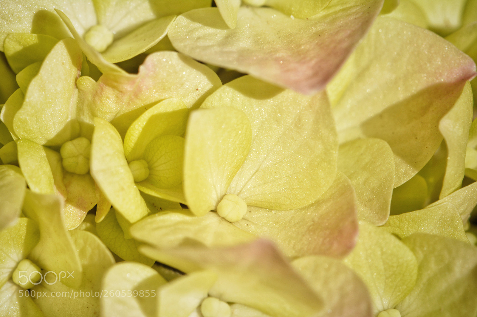 Nikon D7100 sample photo. Untitled photography