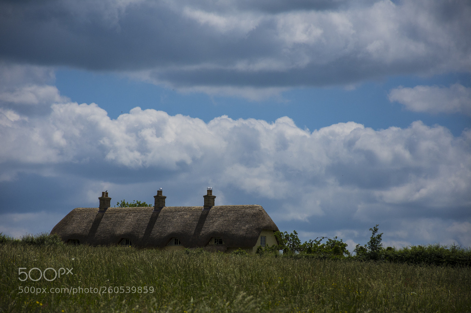 Nikon D7200 sample photo. English summer photography