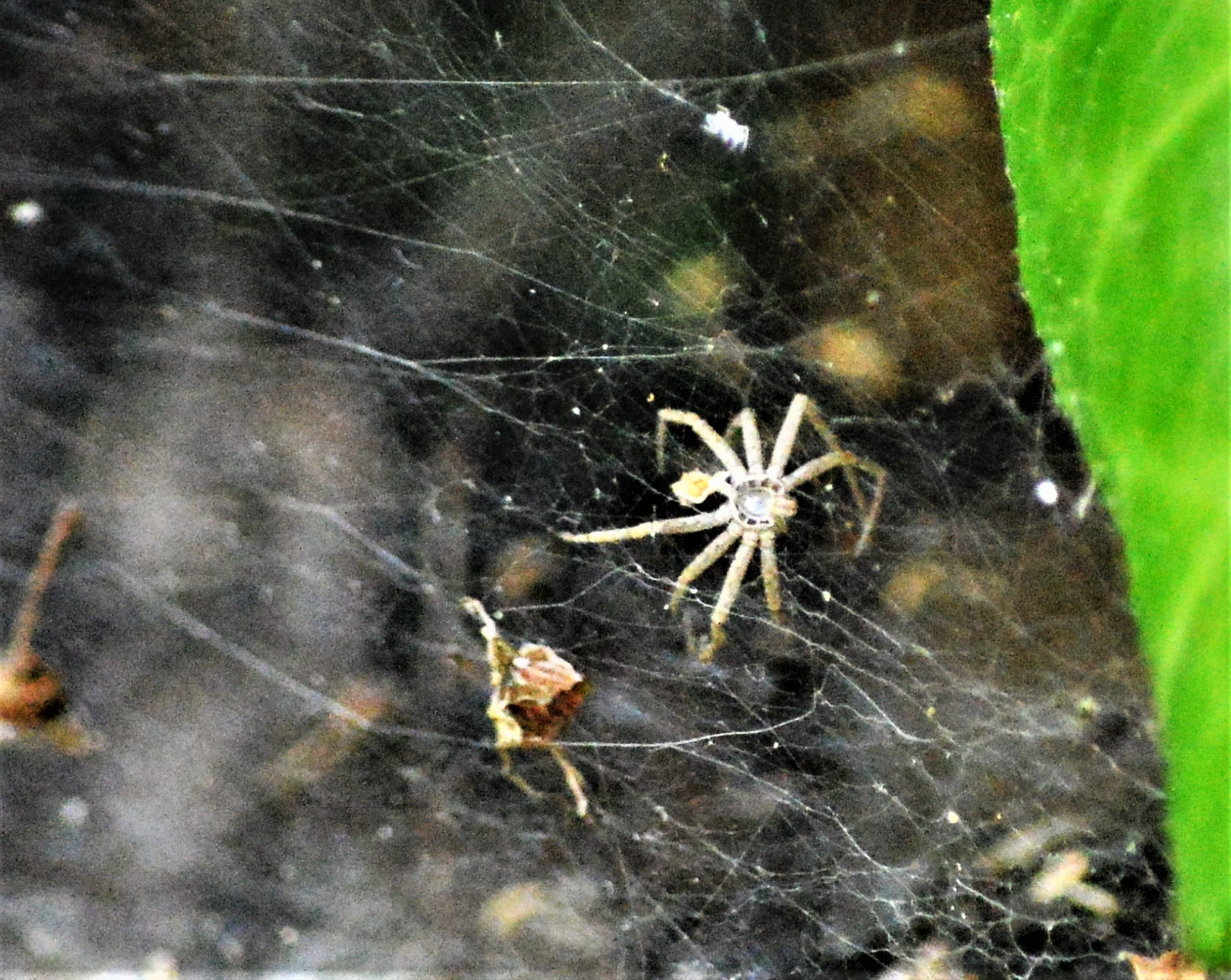 Nikon D3200 sample photo