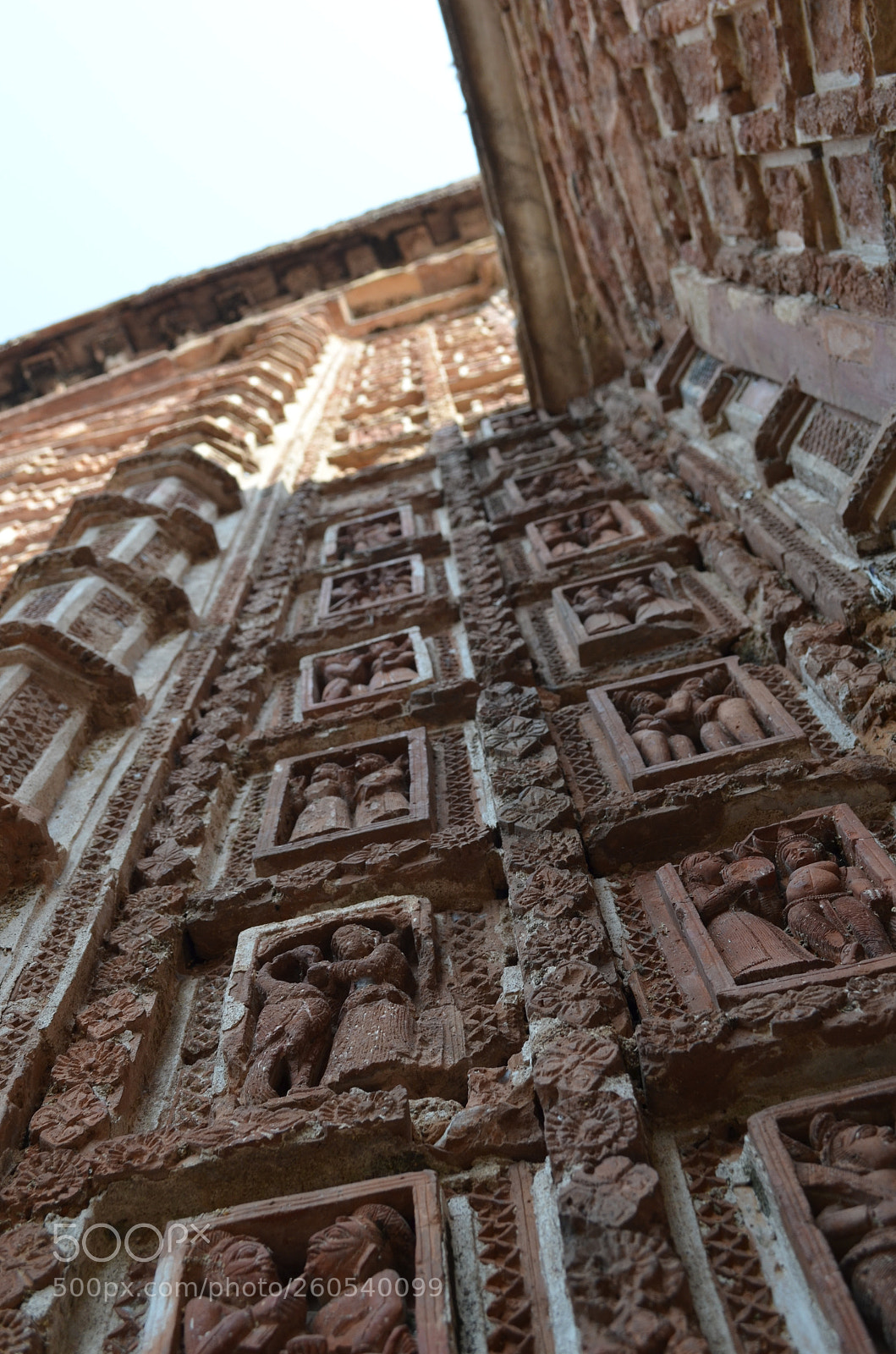 Nikon D5100 sample photo. Picture photography