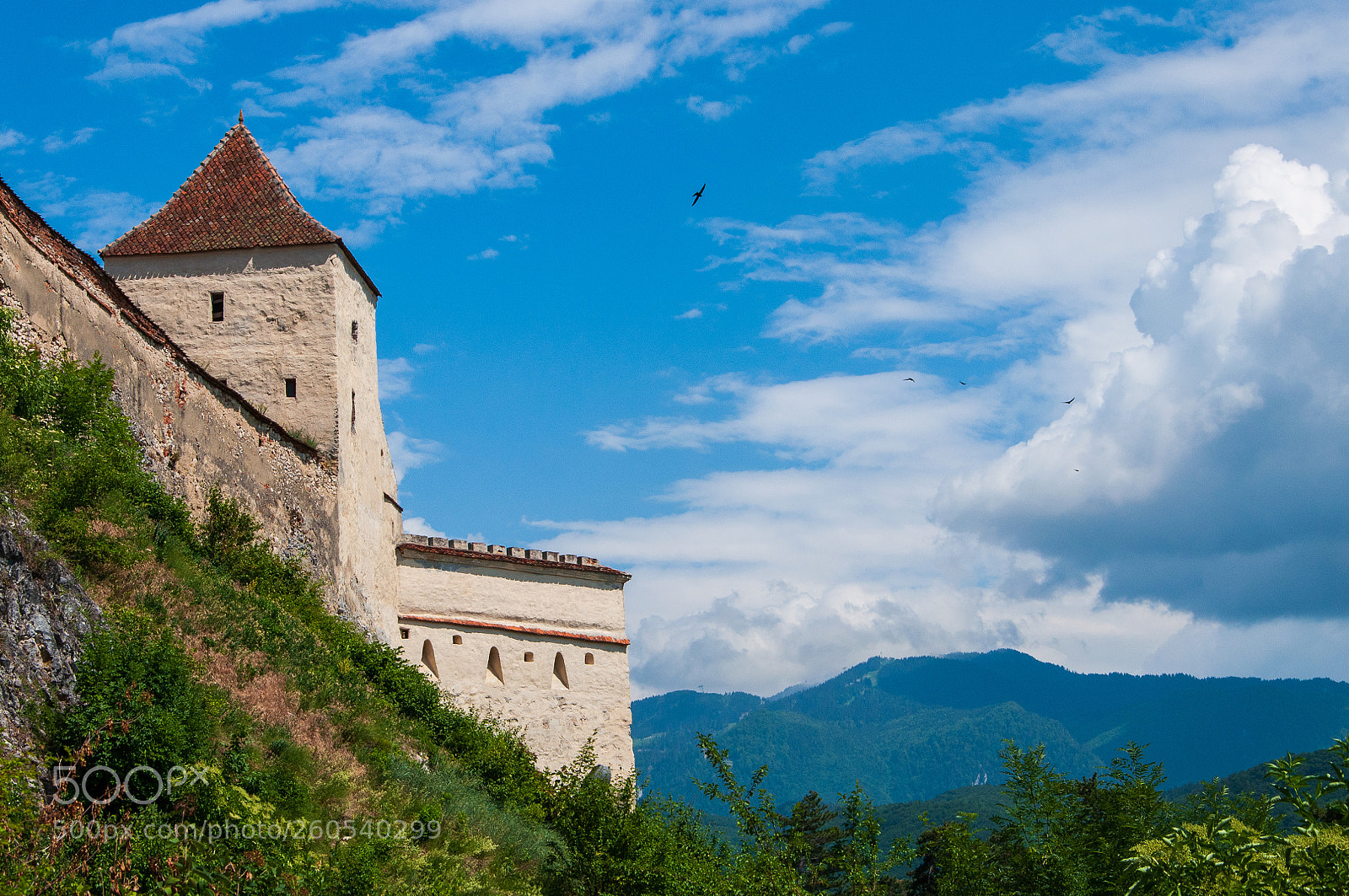 Nikon D90 sample photo. Râșnov fortress photography