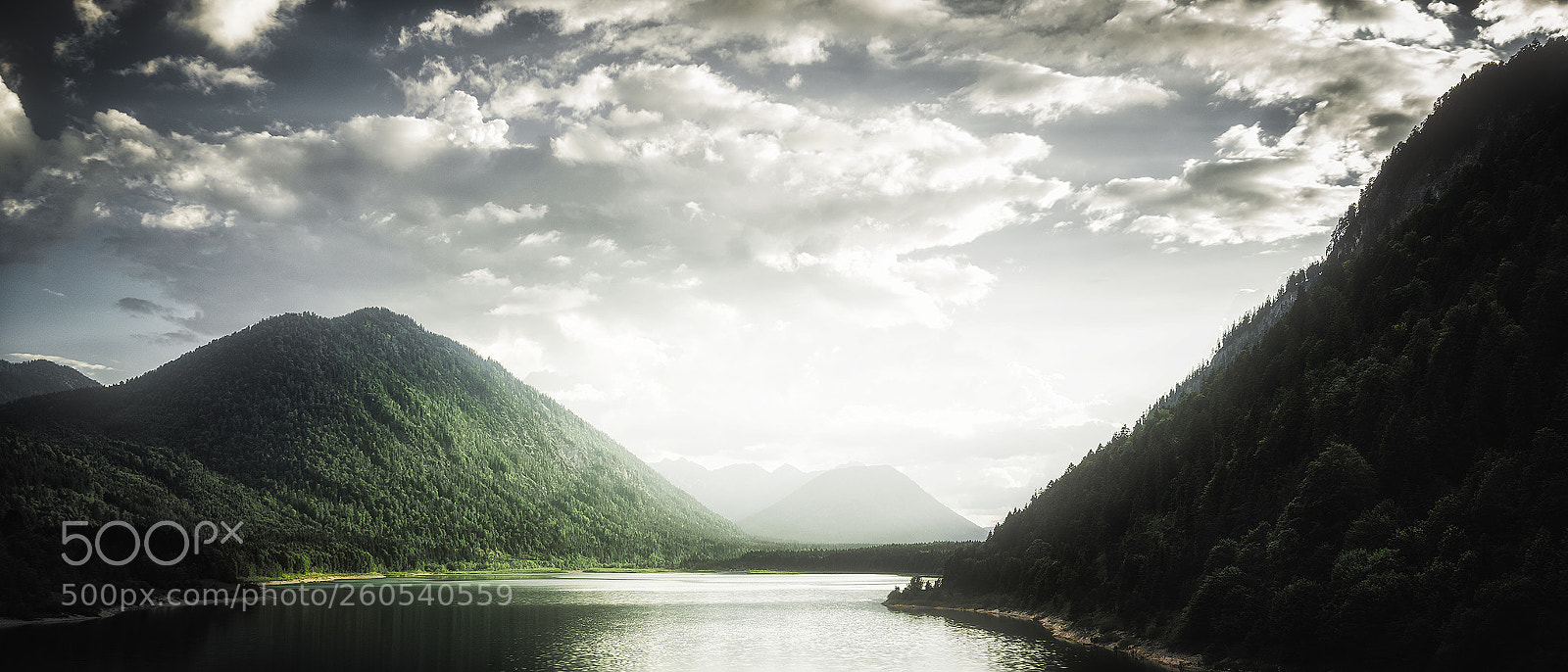 Nikon D750 sample photo. ~ sylvenstein ~ photography