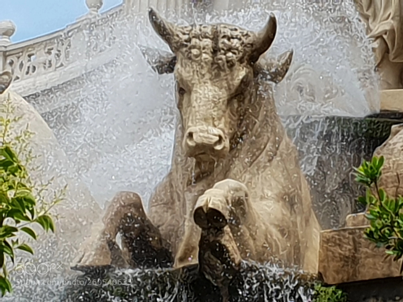 Samsung Galaxy S9 sample photo. Untitled photography