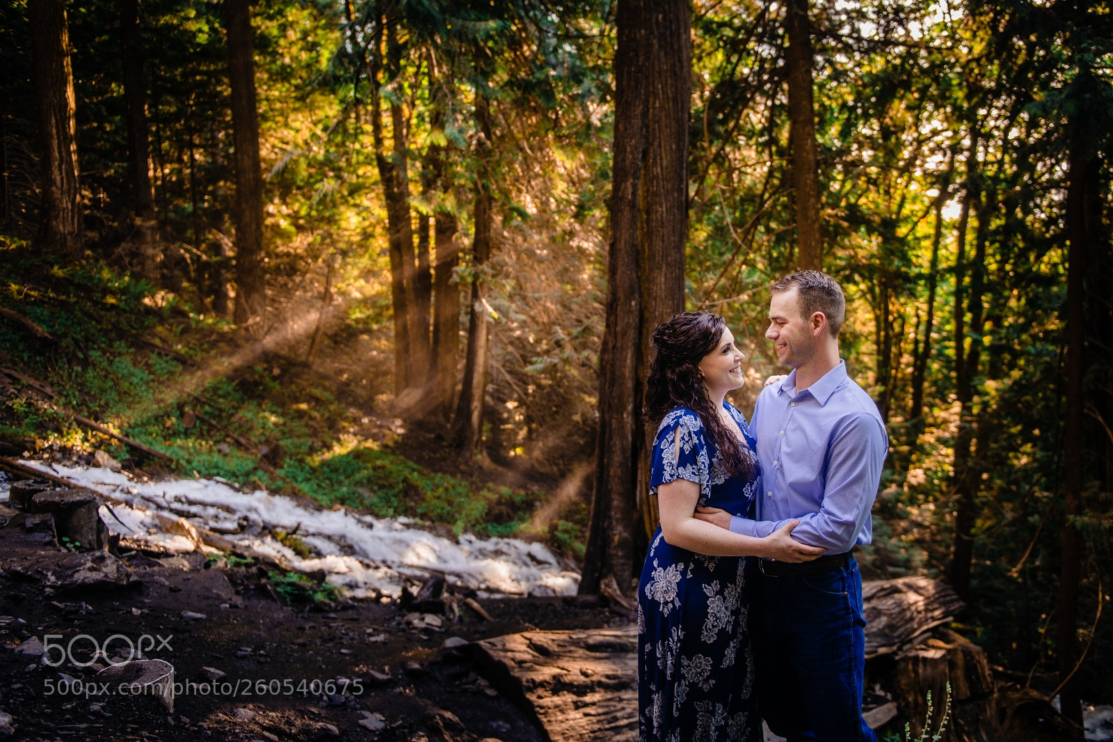 Nikon D850 sample photo. Untitled photography