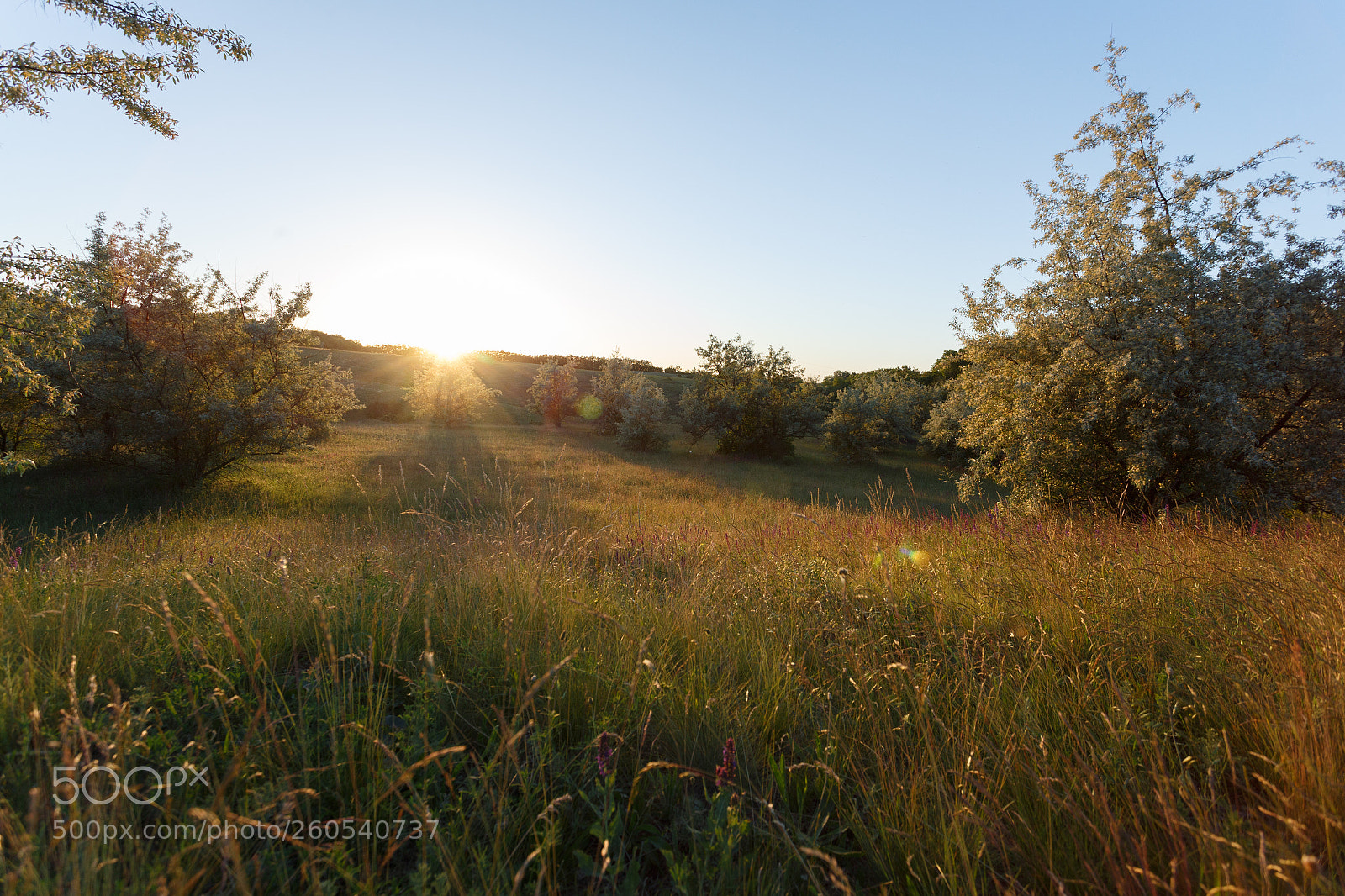 Canon EOS 6D sample photo. Sunset at the end photography