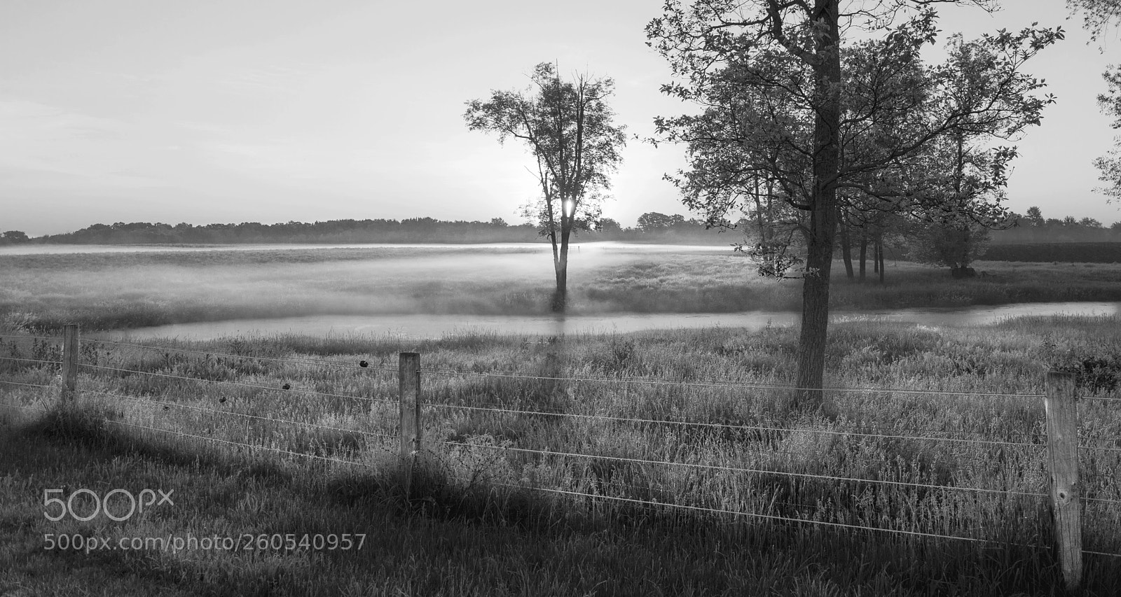 Nikon D3200 sample photo. Michigan meadow photography