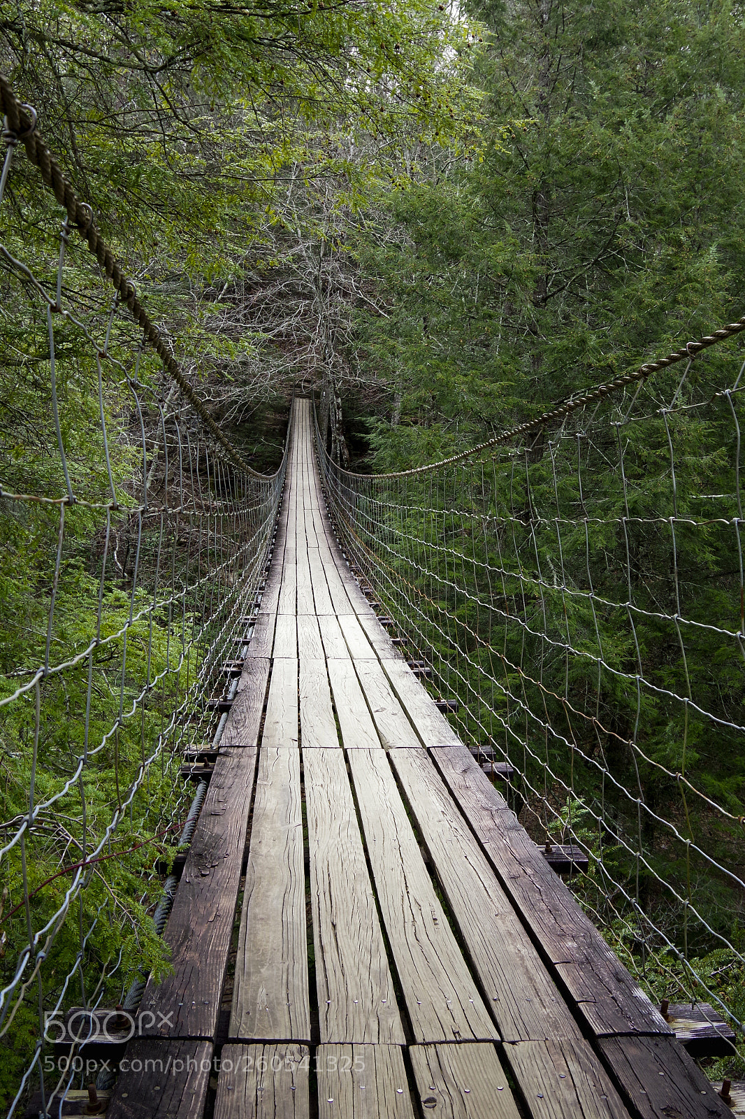 Pentax K-70 sample photo. Forrest bridge photography