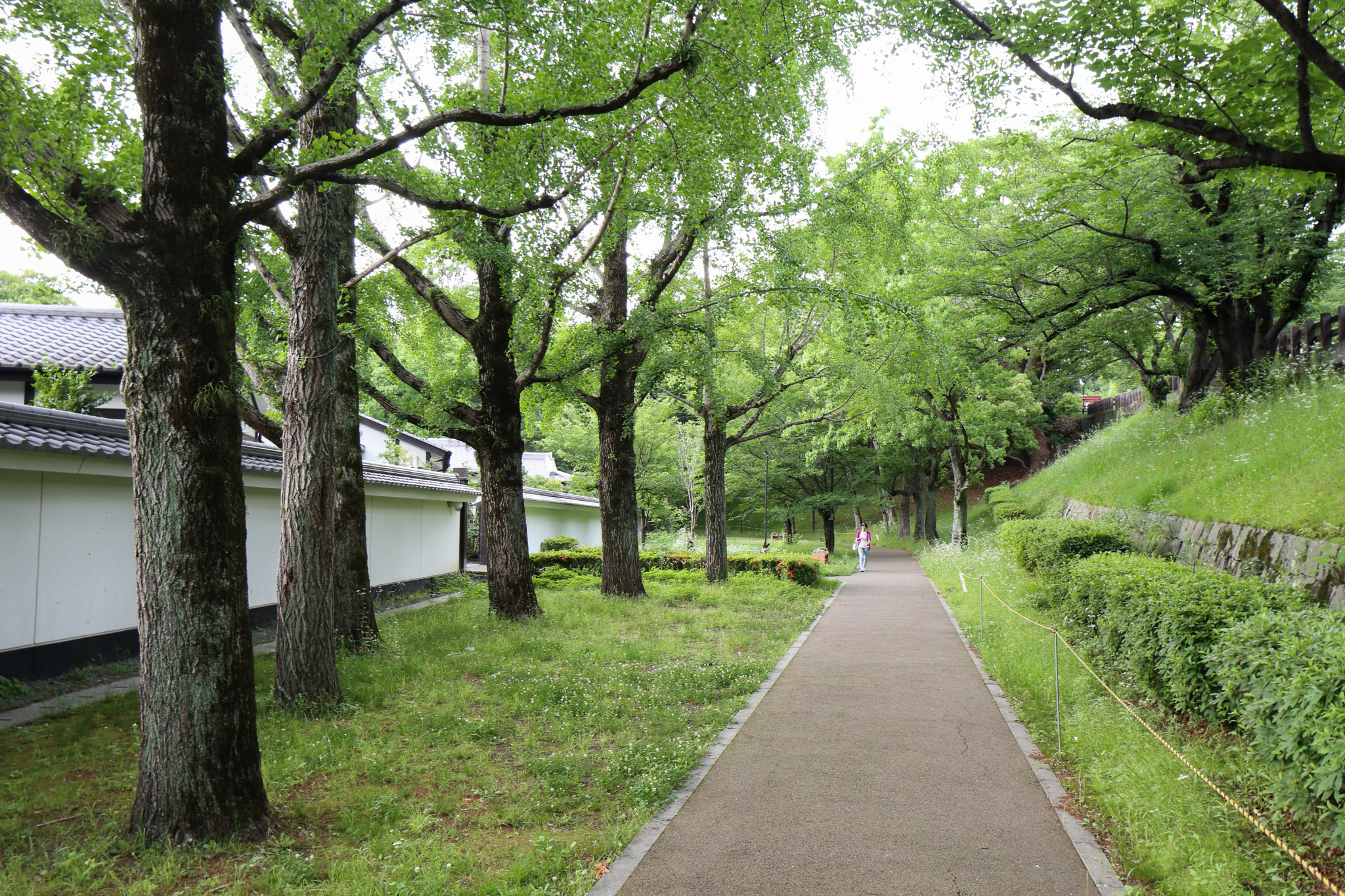 Canon EOS M5 sample photo. Img062018 photography