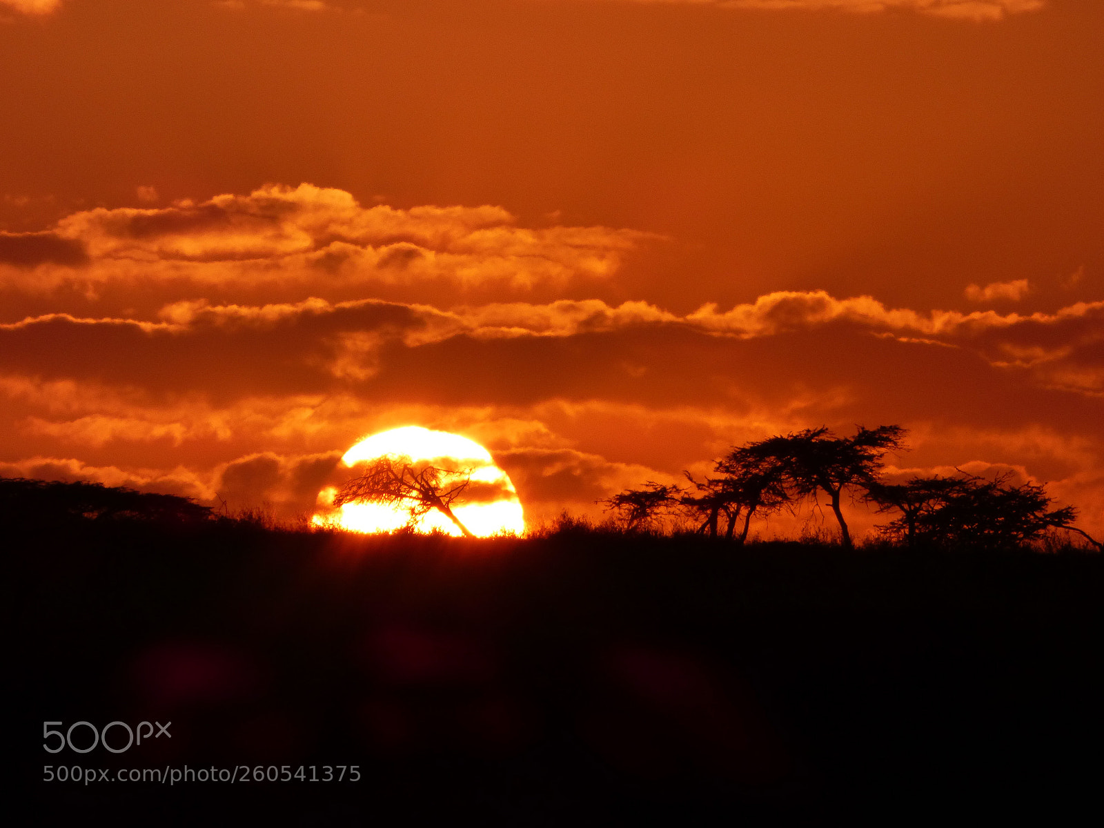 Panasonic DMC-FZ72 sample photo. Sunset at the serengeti photography