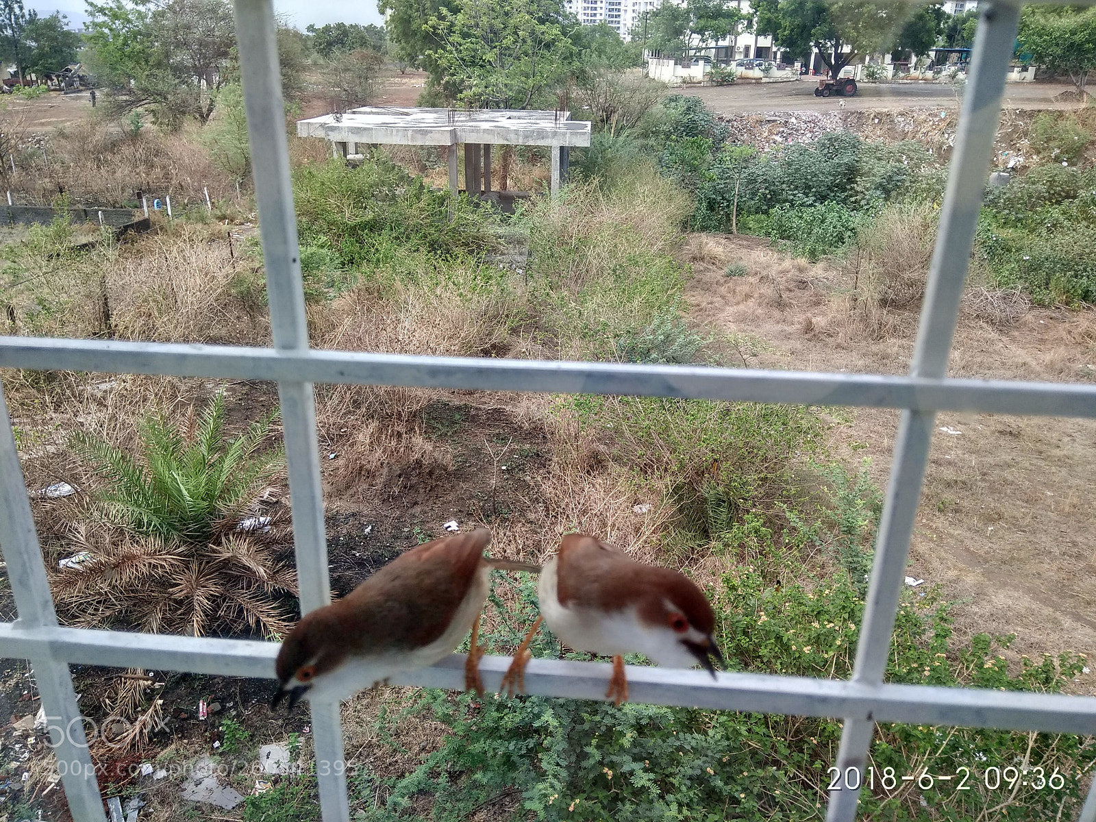 Xiaomi Redmi Note 4 sample photo. Untitled photography