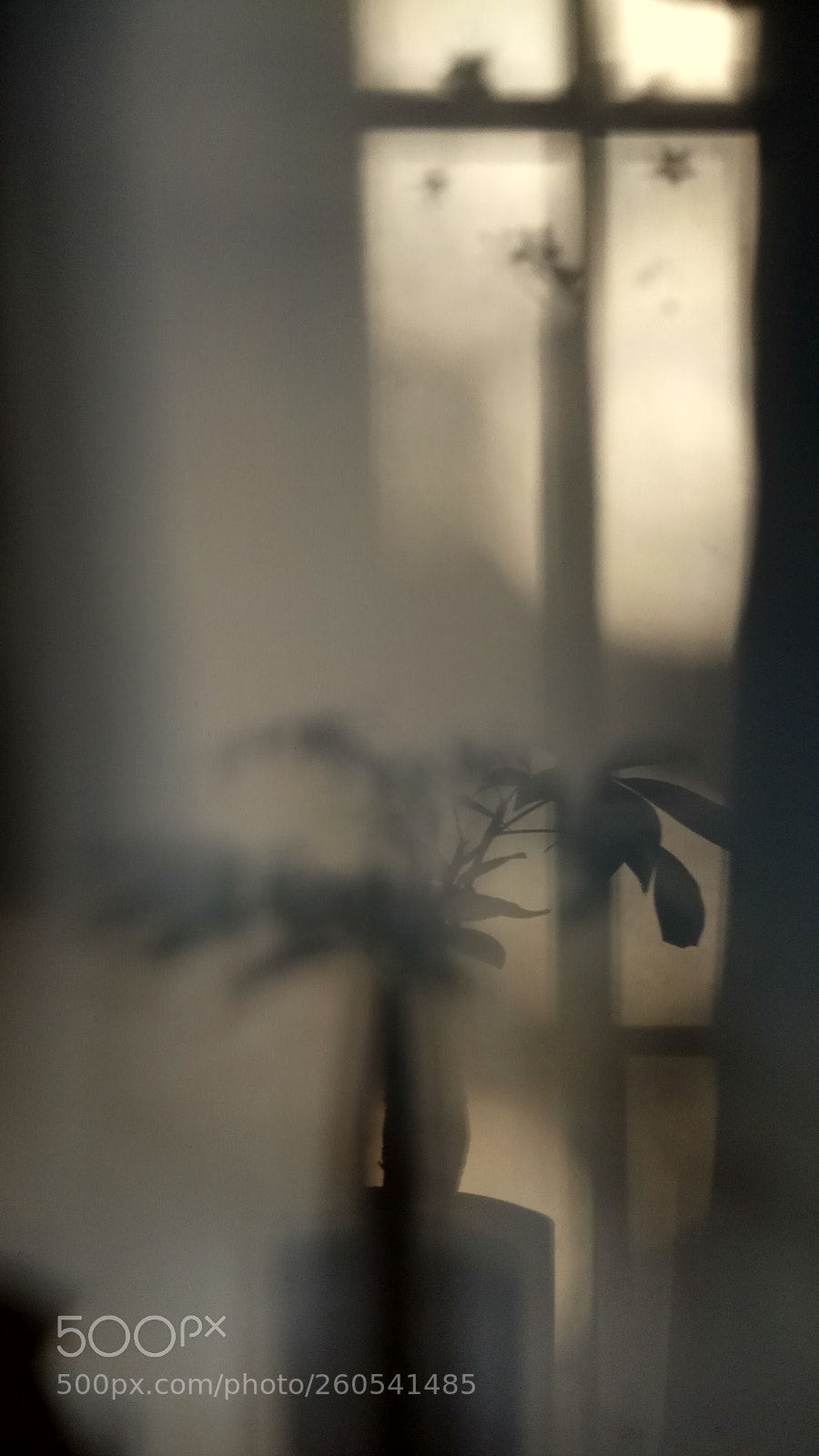 Xiaomi Redmi Note 4 sample photo. Untitled photography