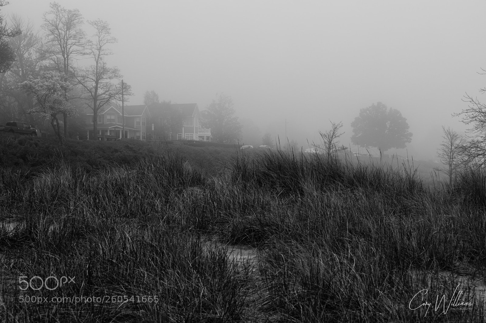 Canon EOS 5D Mark IV sample photo. Foggy morning on the photography