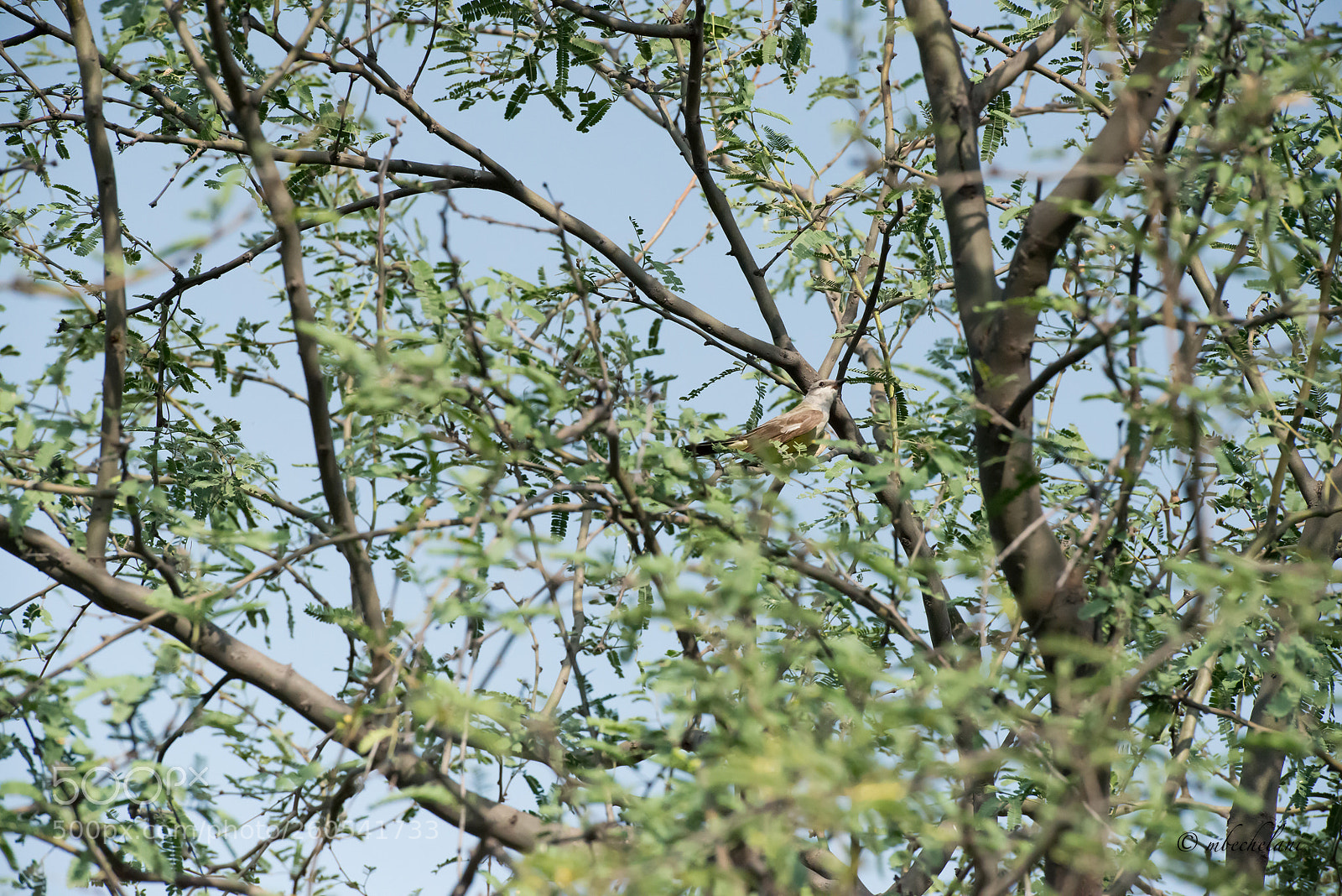 Nikon D800 sample photo. Dsc photography