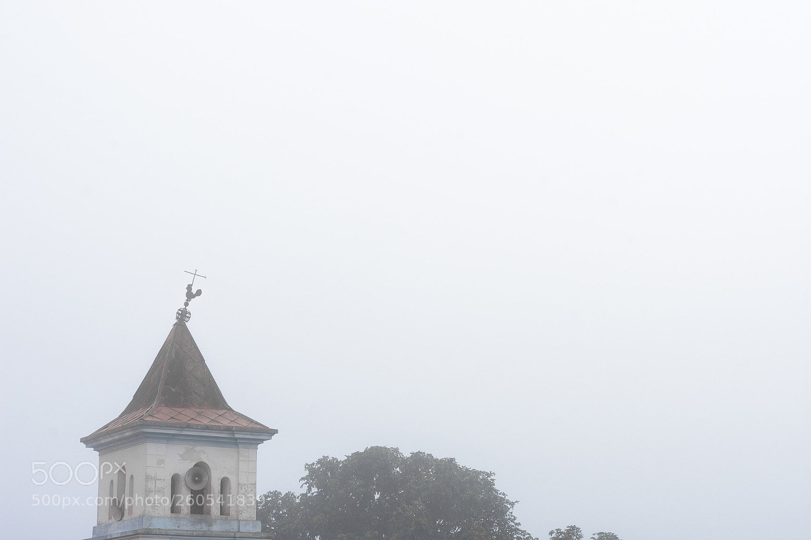 Nikon D7200 sample photo. Neblina photography