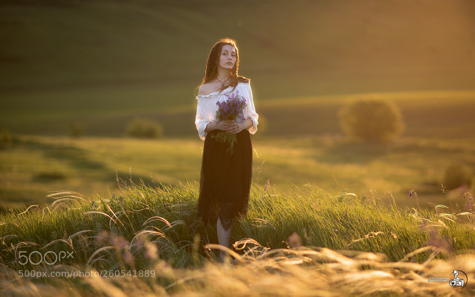 Nikon D750 sample photo. Golden hour photography