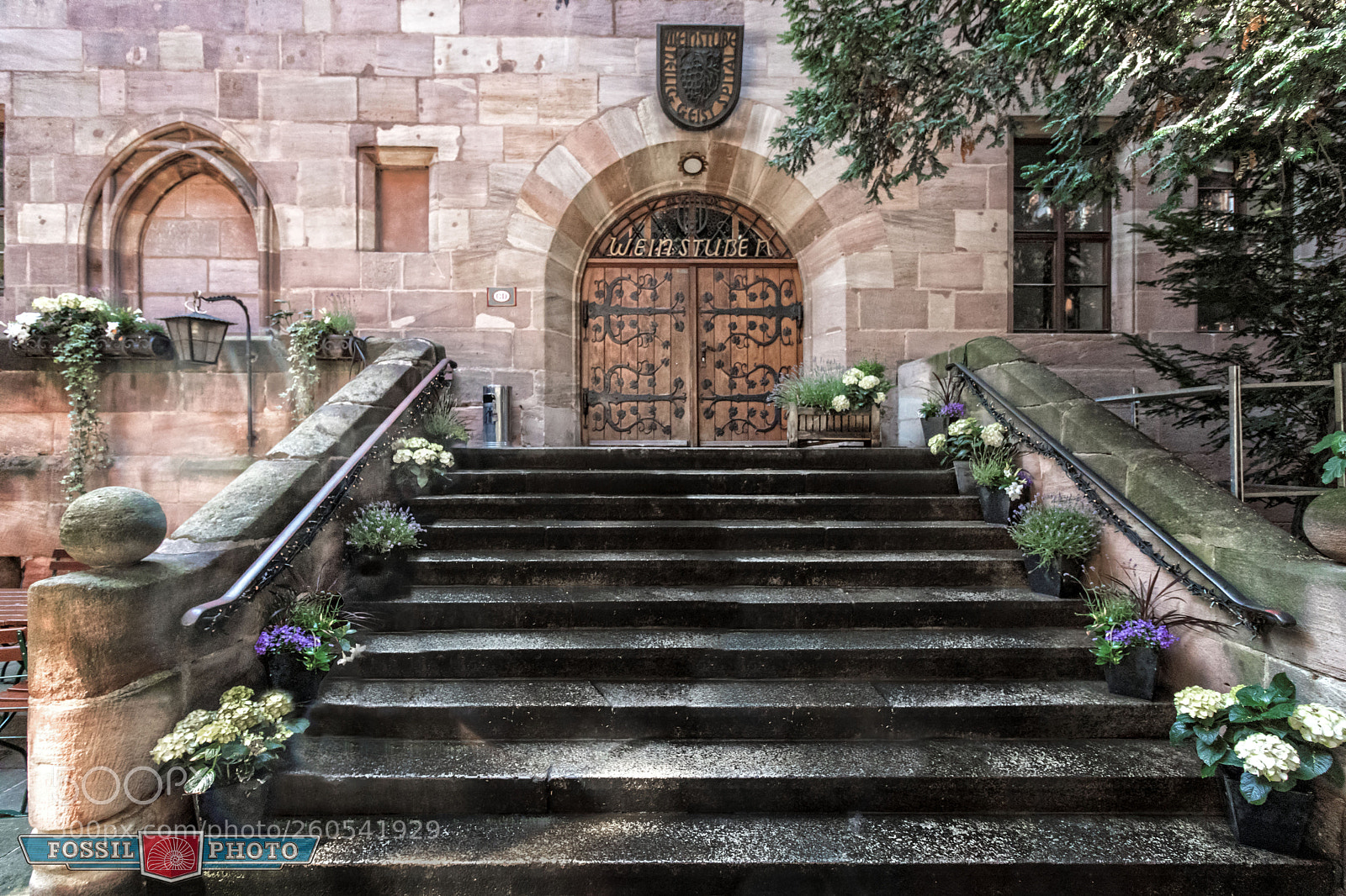 Canon EOS 80D sample photo. Stairs to the wine photography