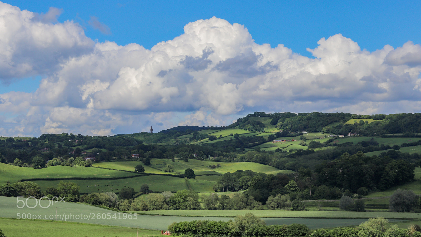 Canon EOS 200D (EOS Rebel SL2 / EOS Kiss X9) sample photo. Opposite shelsey walsh hill photography