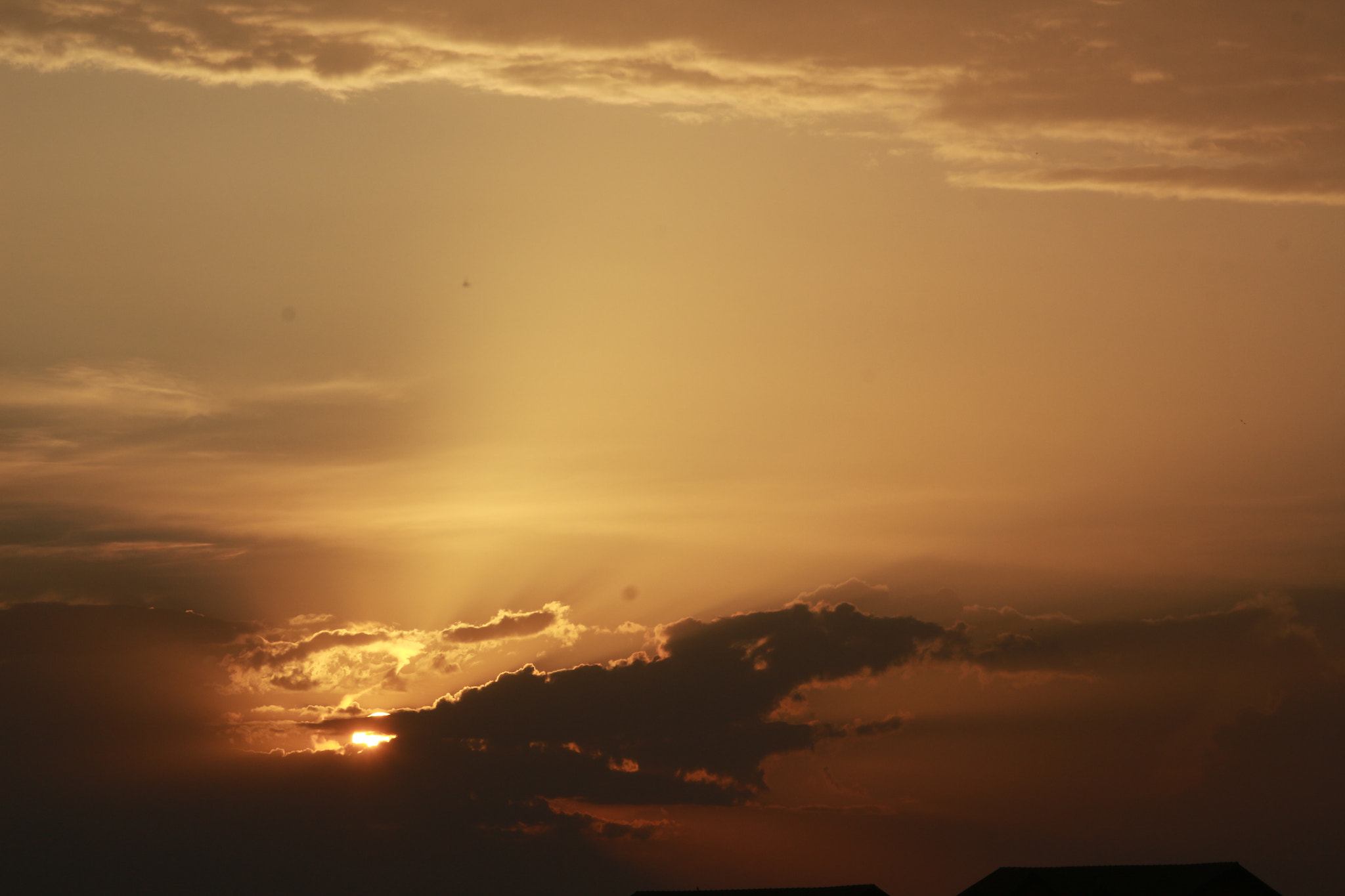 Canon EF 35-105mm f/3.5-4.5 sample photo. Img photography