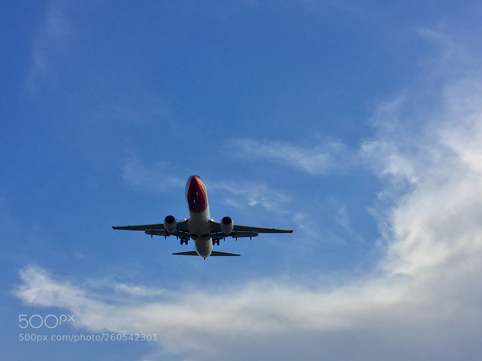 Apple iPhone 6 sample photo. Suggestive landings in the photography