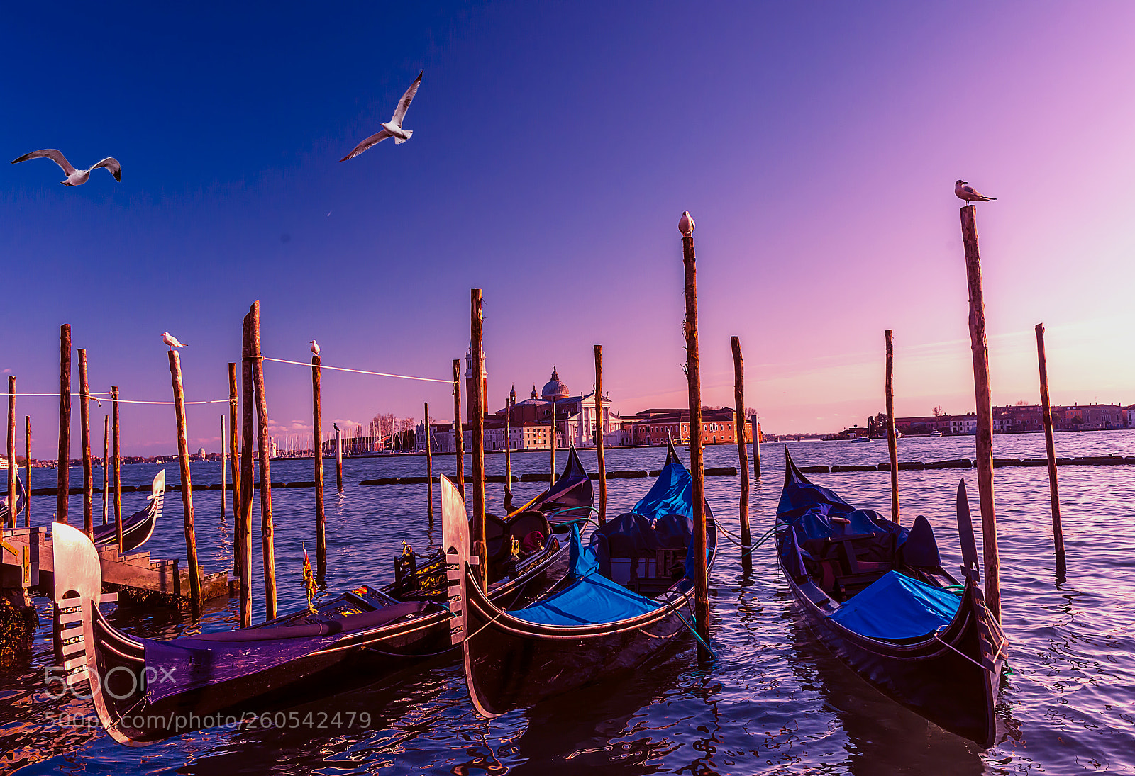 Nikon D7200 sample photo. Venice sunset photography