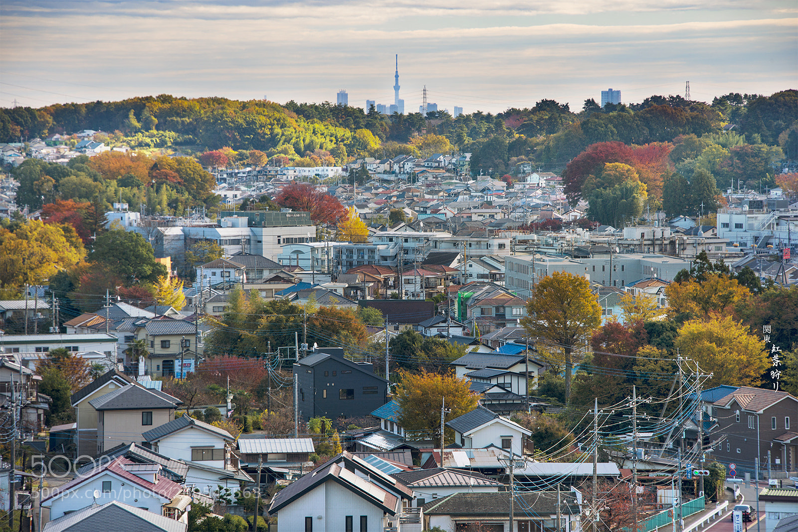 Nikon D800E sample photo. Tokorozawa city @ autumn photography