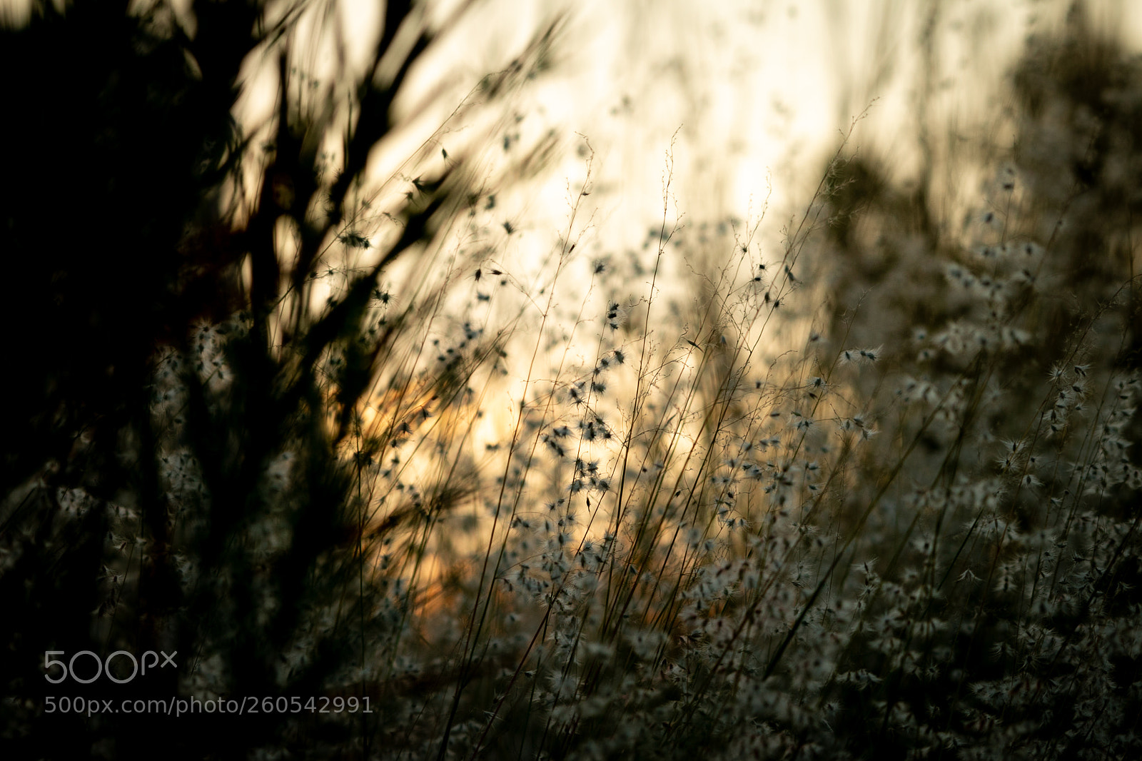 Canon EOS 70D sample photo. Sunset photography