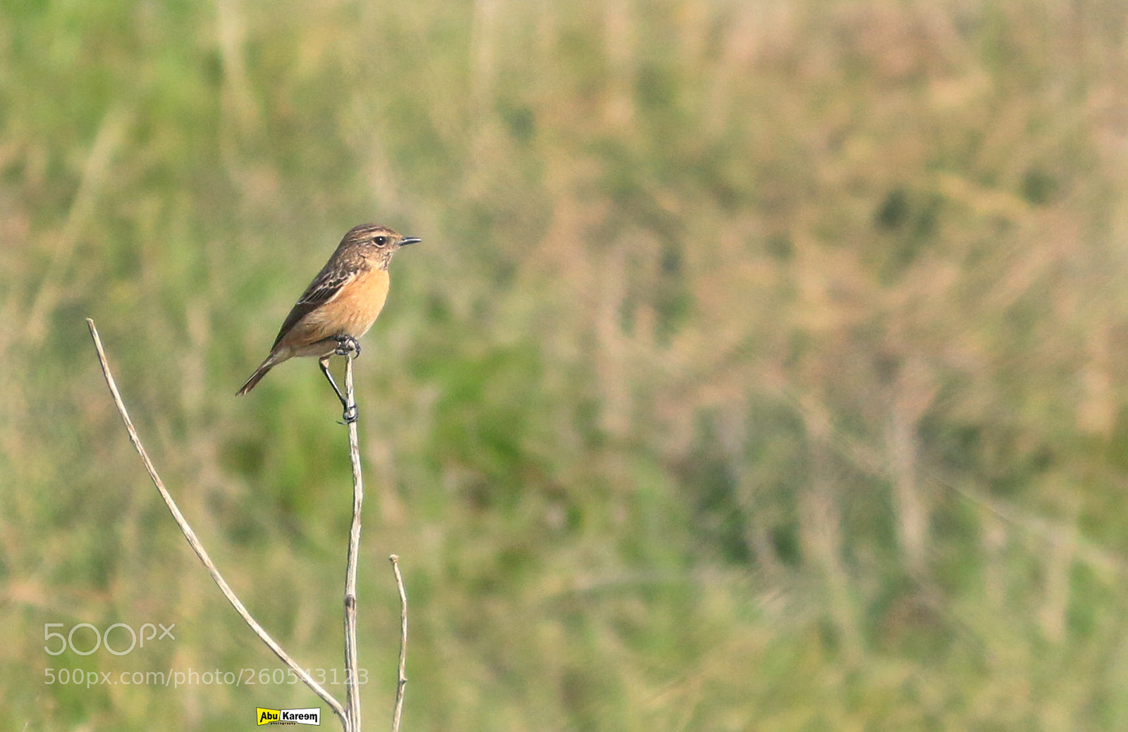 Canon EOS 70D sample photo. Untitled photography