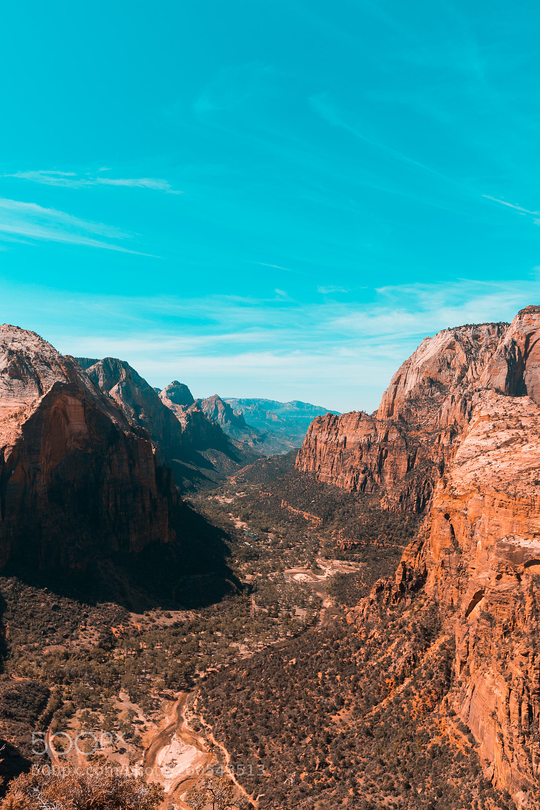 Canon EOS-1D X Mark II sample photo. Zion national park angel's photography