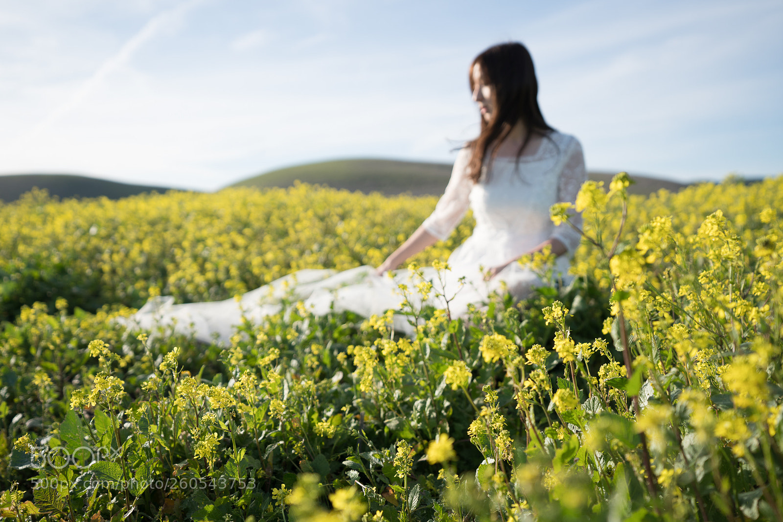 Sony a7R III sample photo. Untitled photography