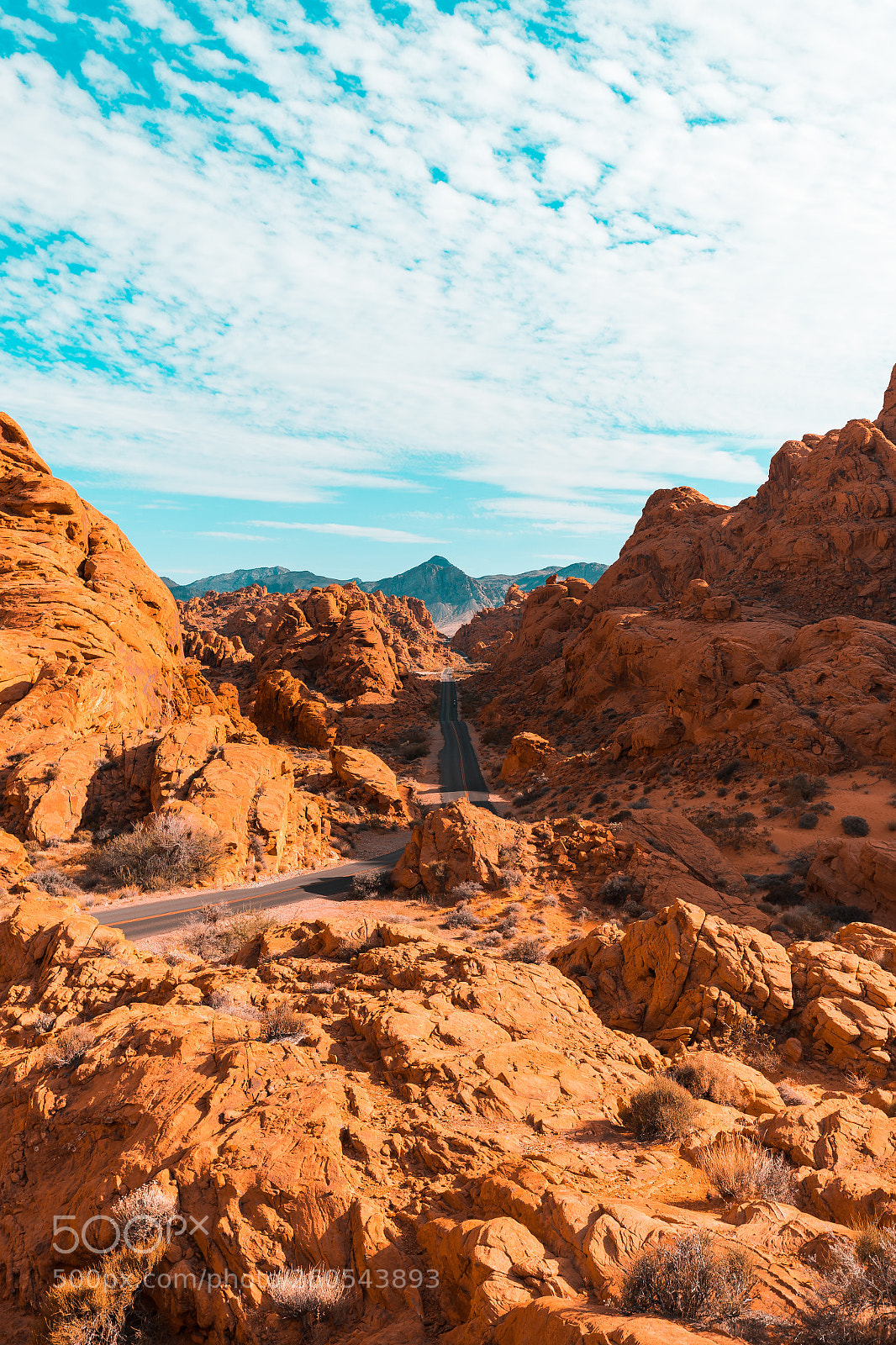 Canon EOS-1D X Mark II sample photo. Valley of fire state photography