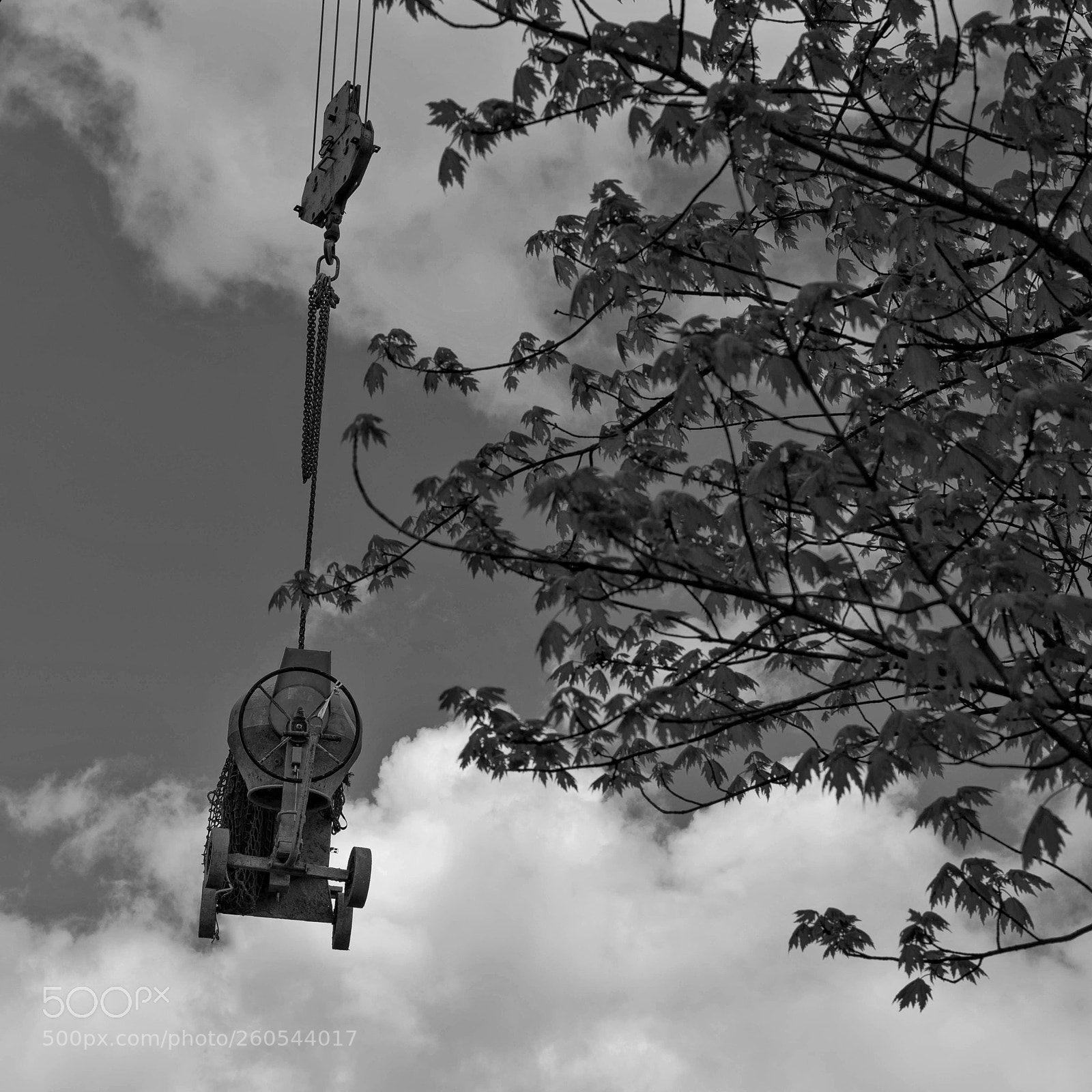 Nikon D810 sample photo. Untitled photography