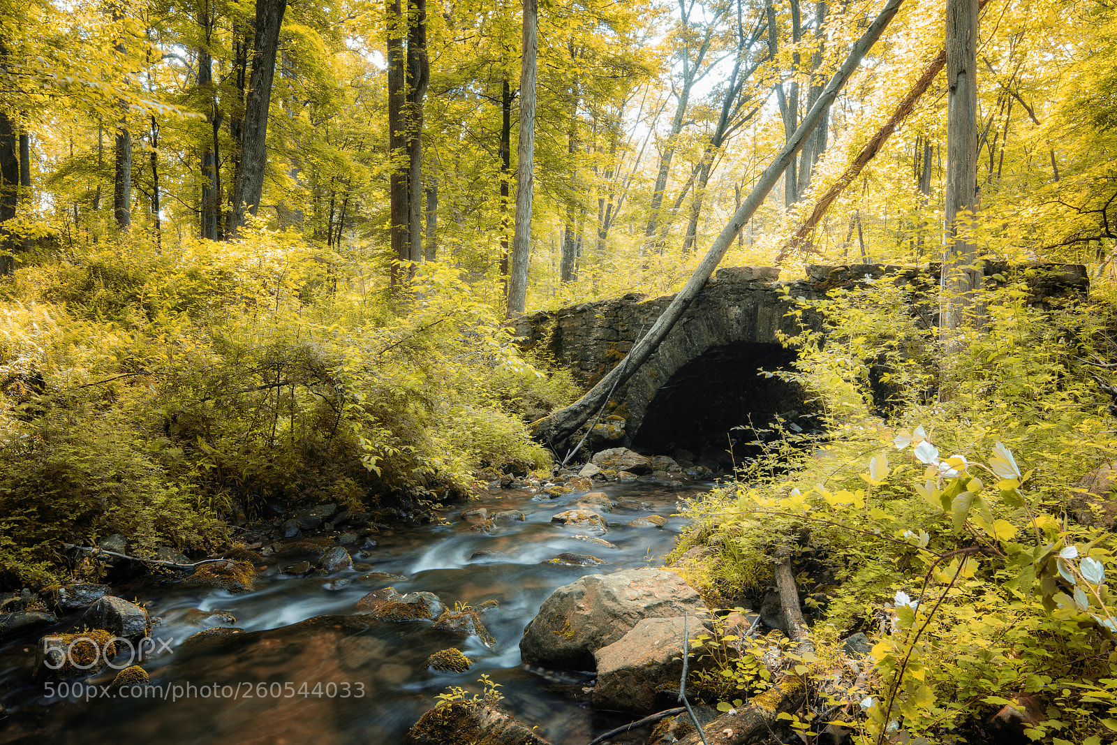 Canon EOS 5DS sample photo. Old stone bridge photography