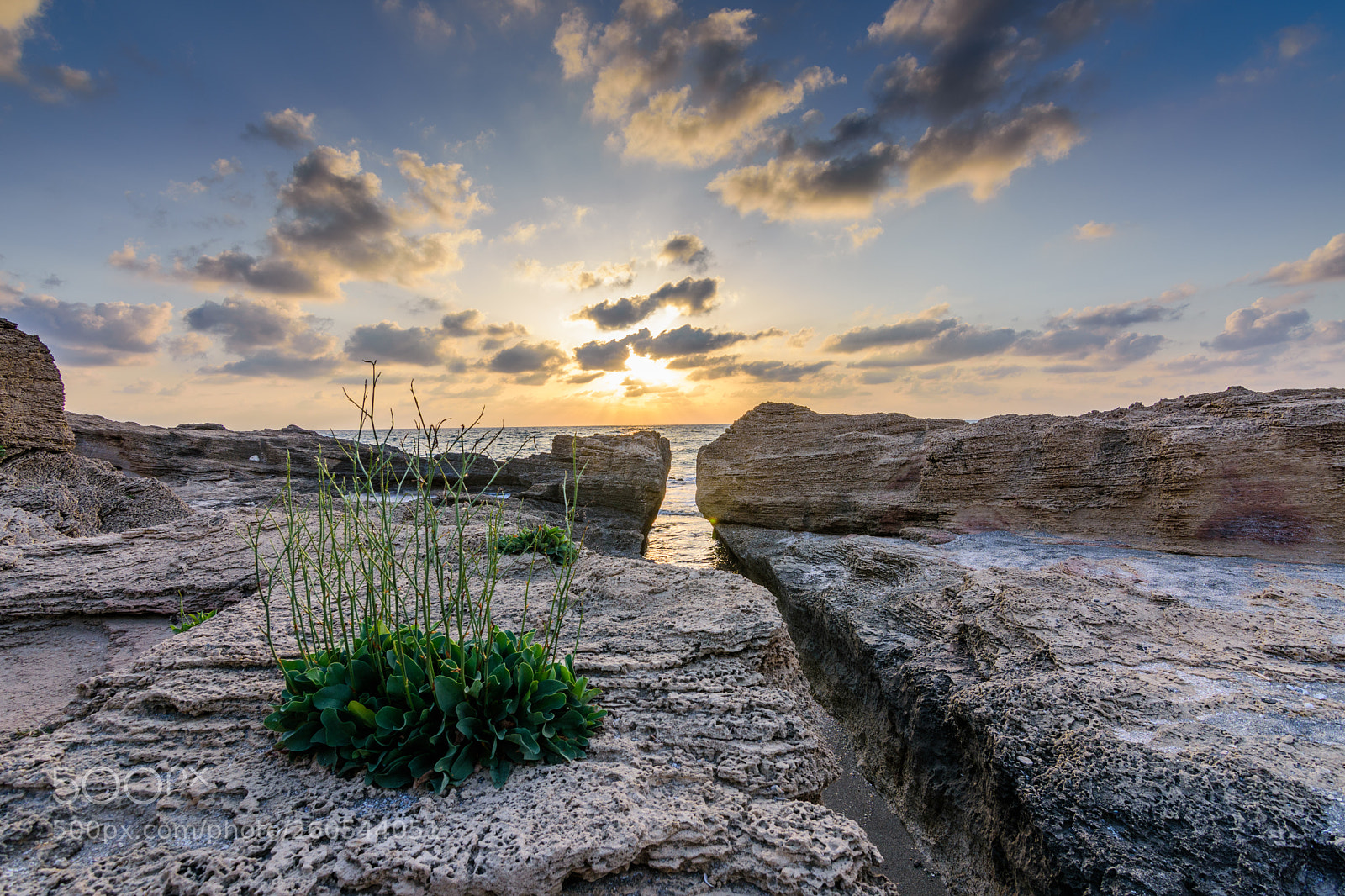 Nikon D7200 sample photo. Nature reserved hof habonim. photography