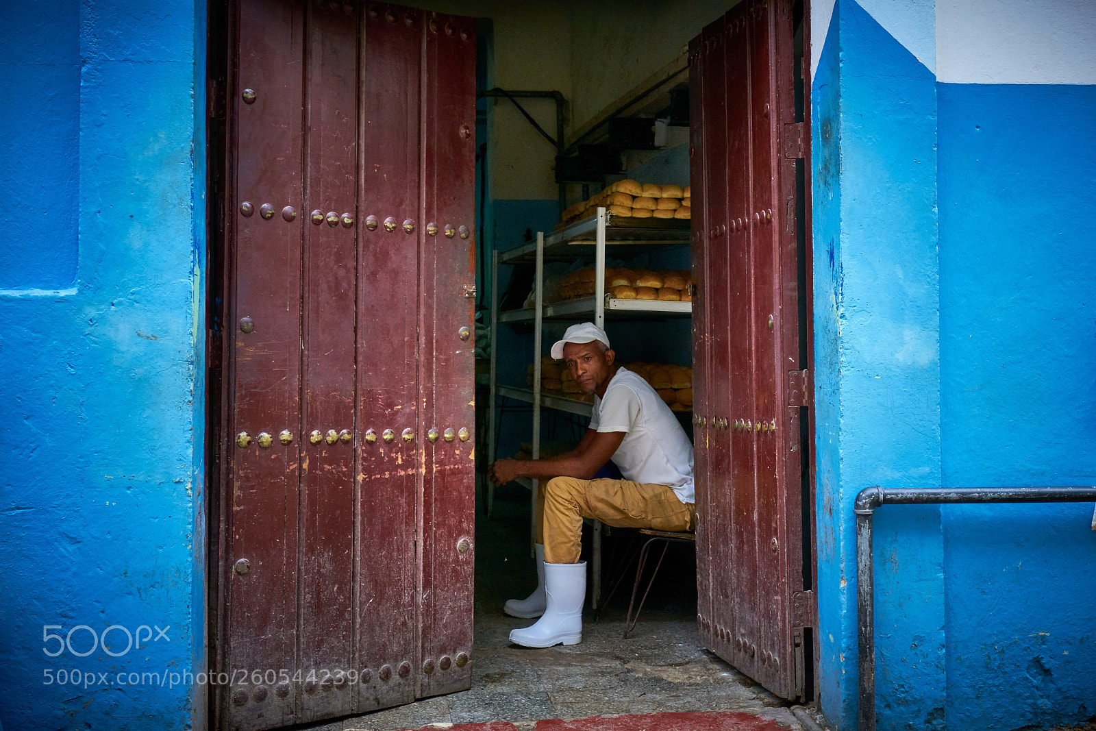 Sony a7R II sample photo. Resting photography